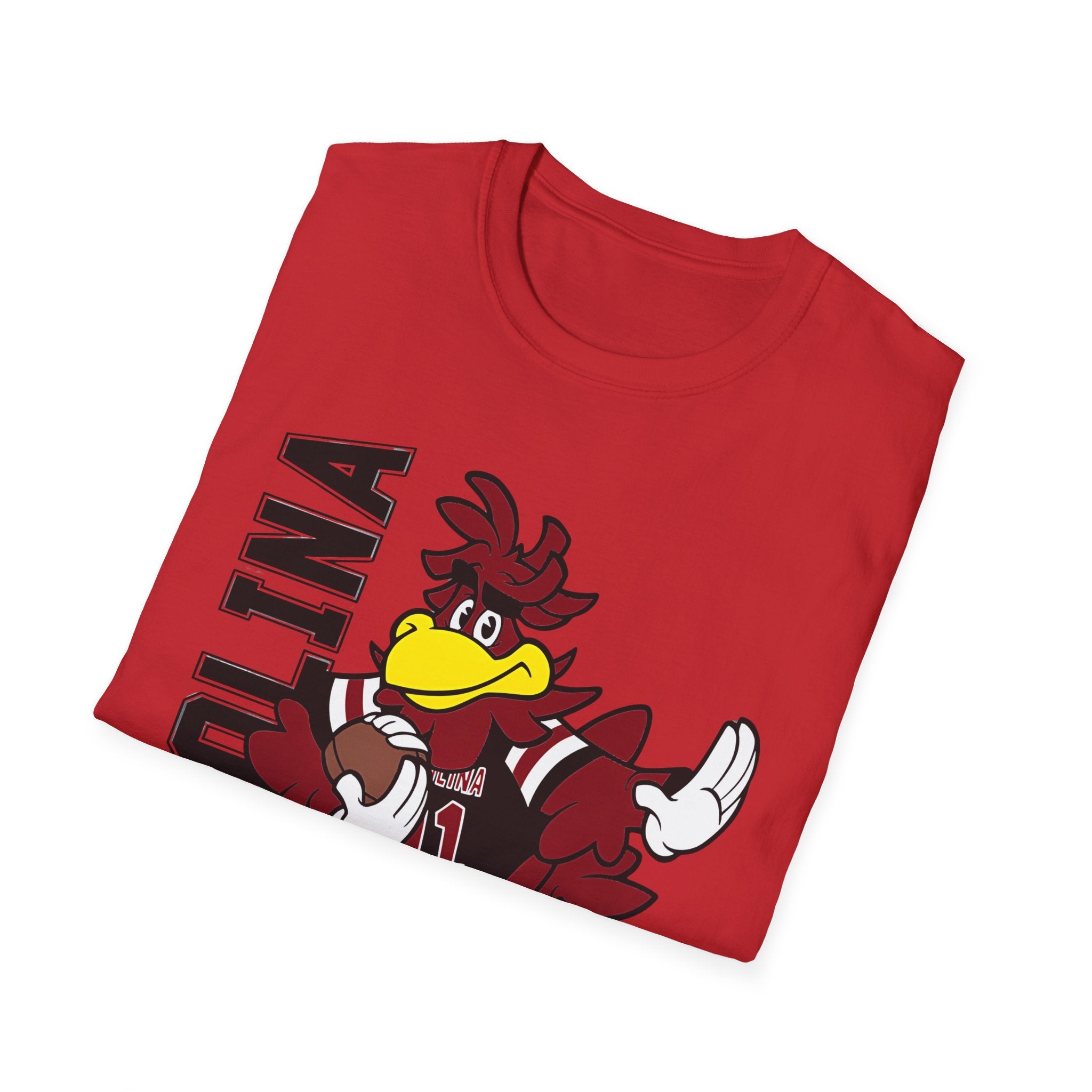 South Carolina Gamecocks