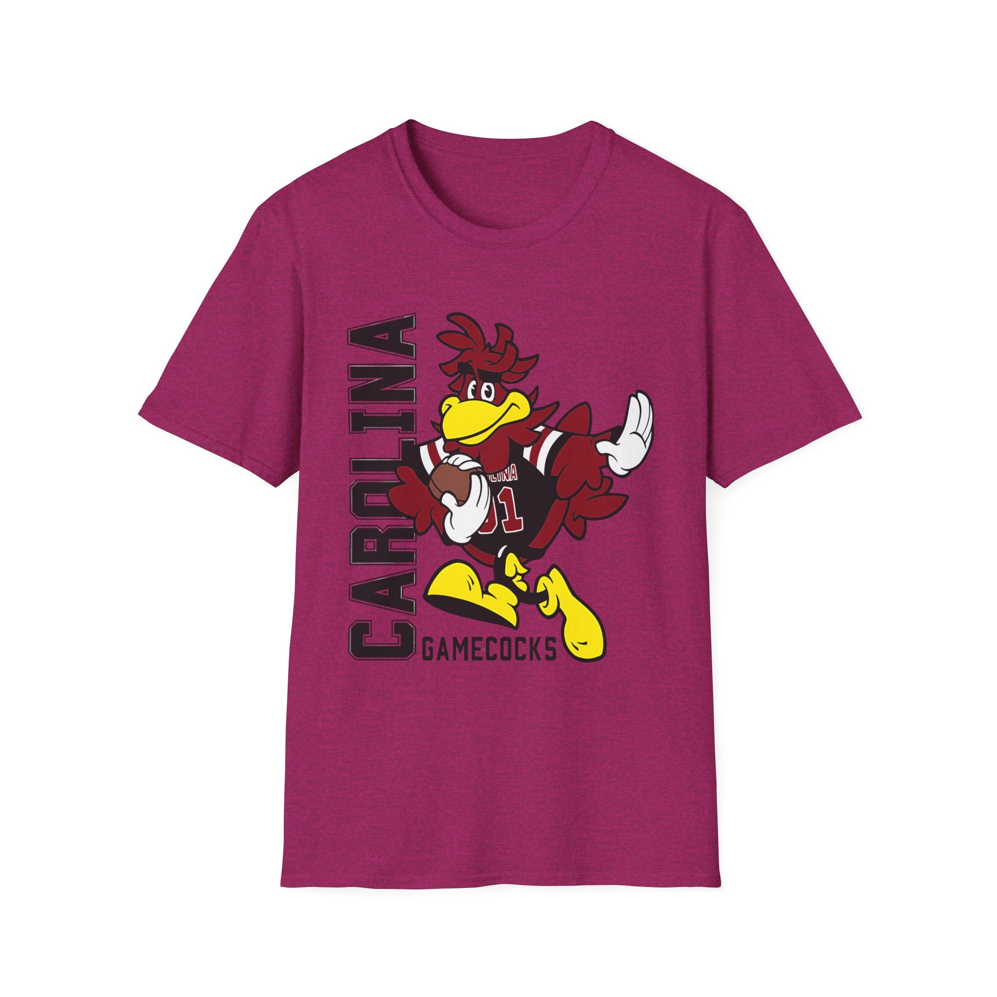 South Carolina Gamecocks