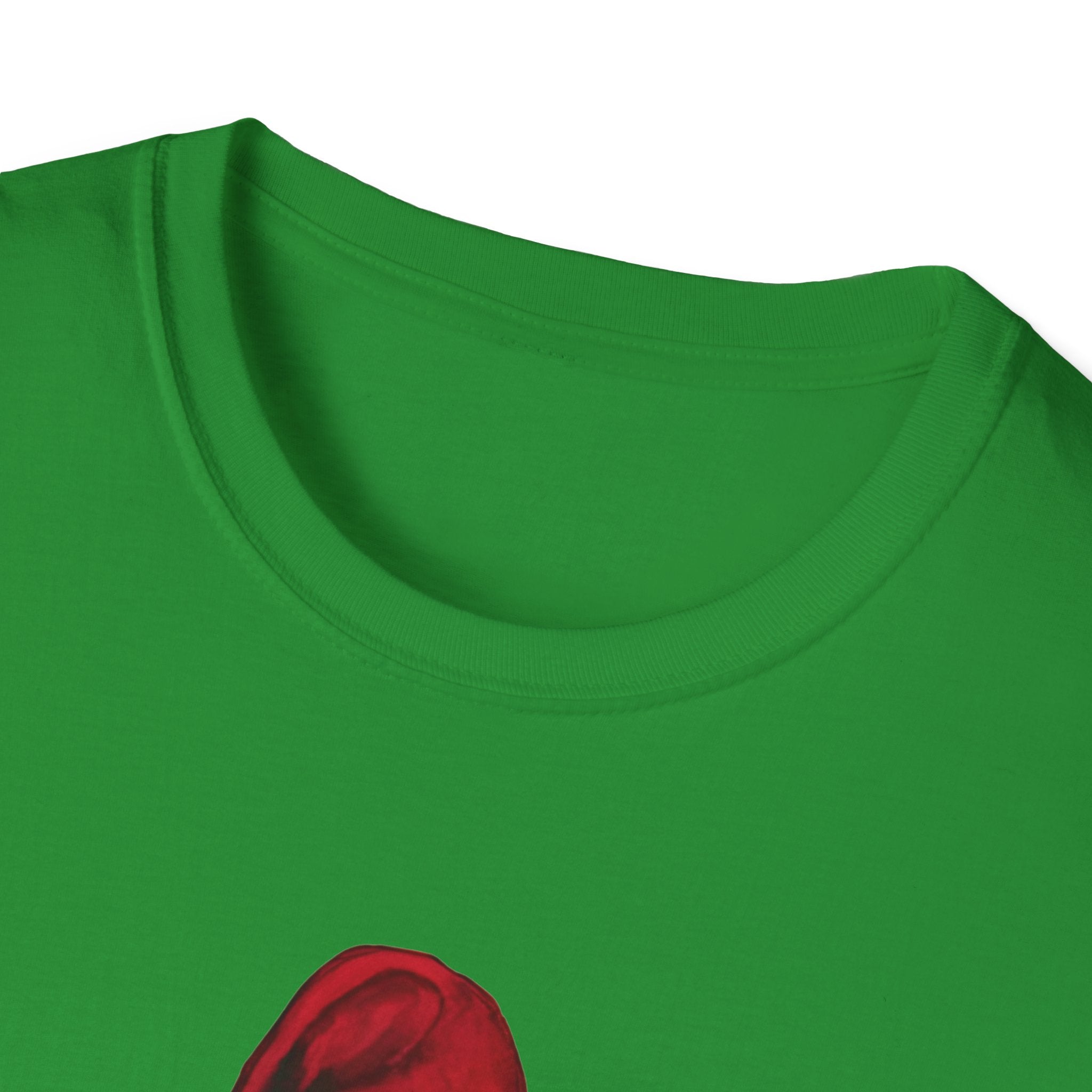 Noter dame fighting irish  - Phillies 2