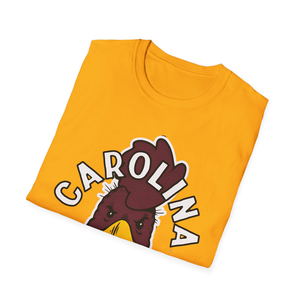 Carolina gamecocks