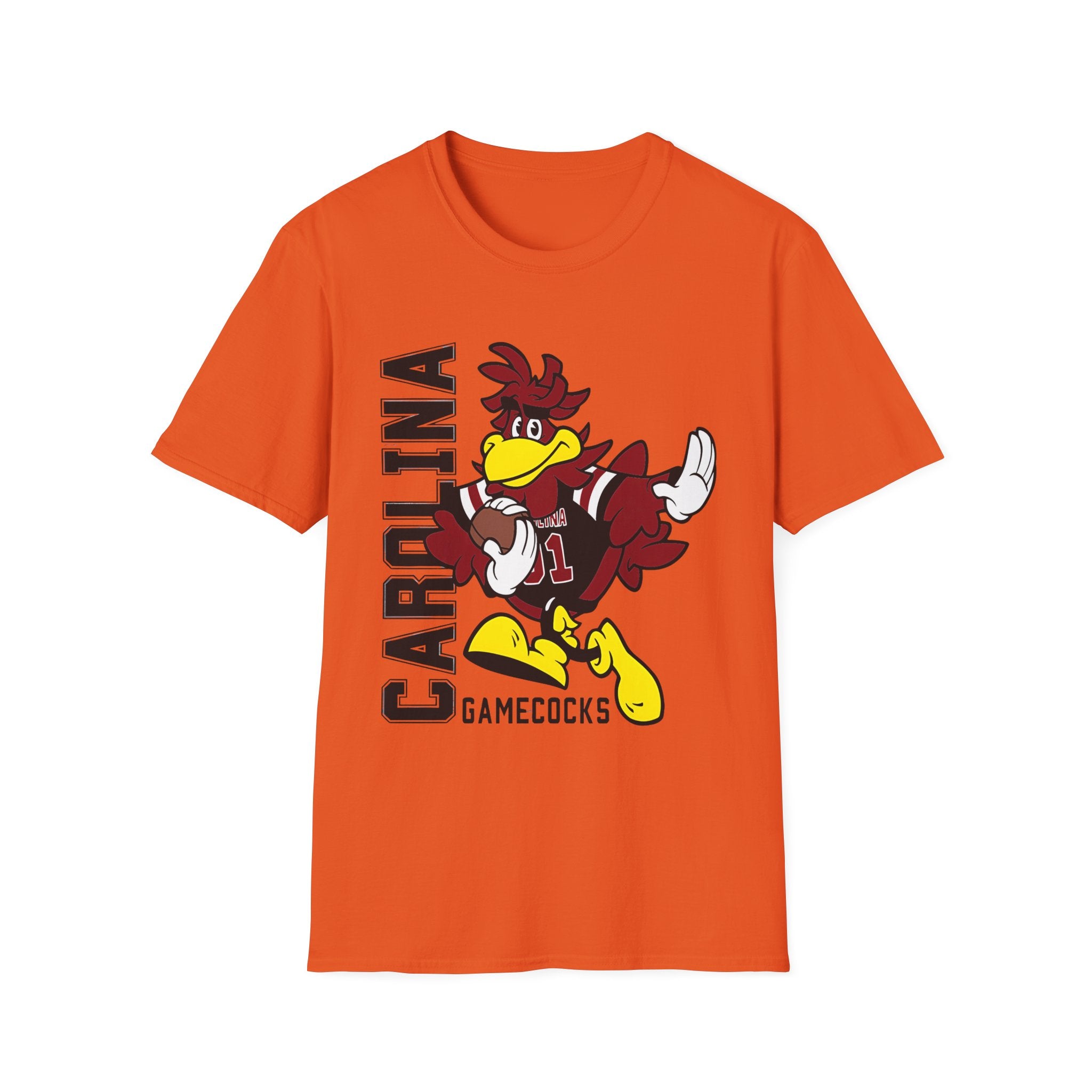 South Carolina Gamecocks
