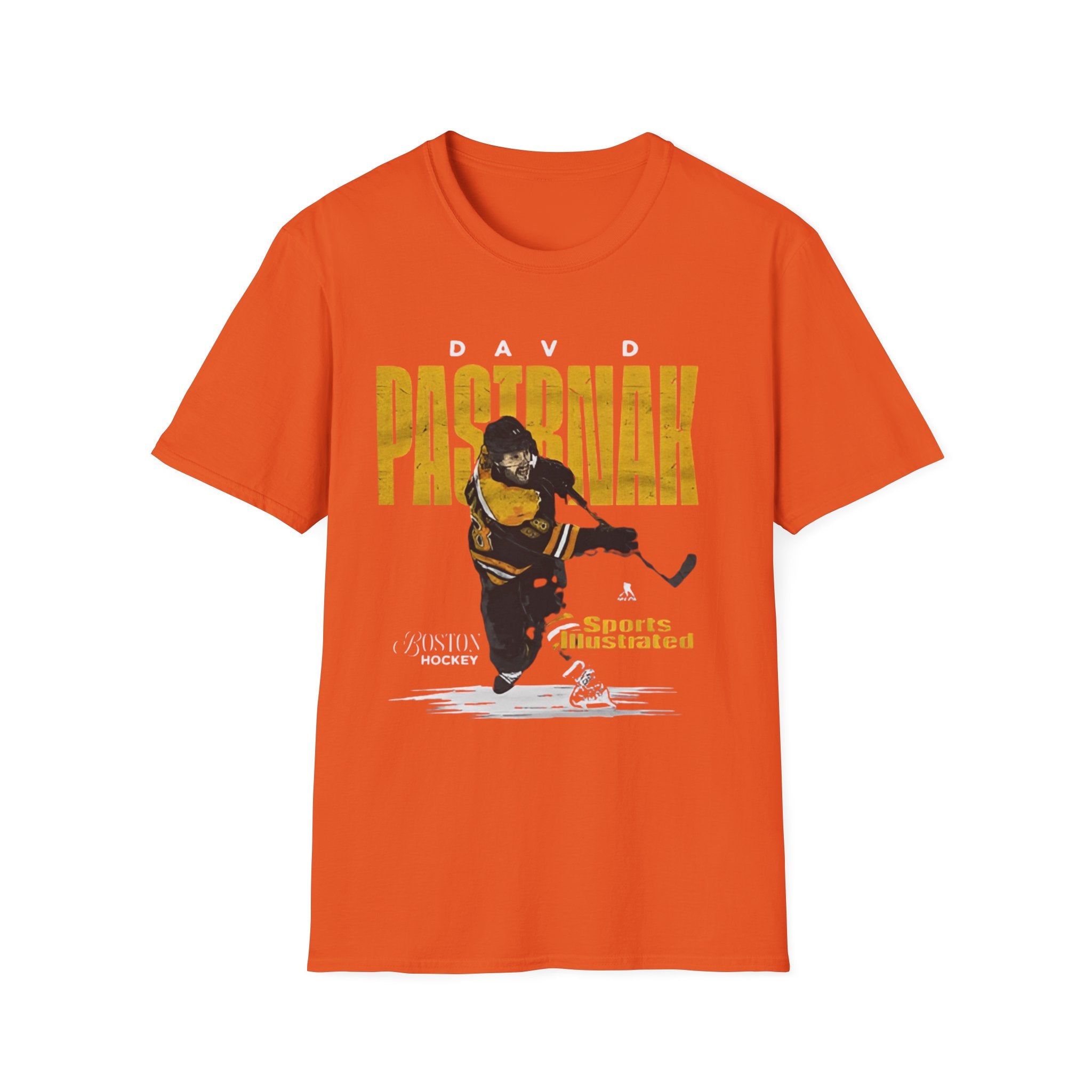 Boston bruins