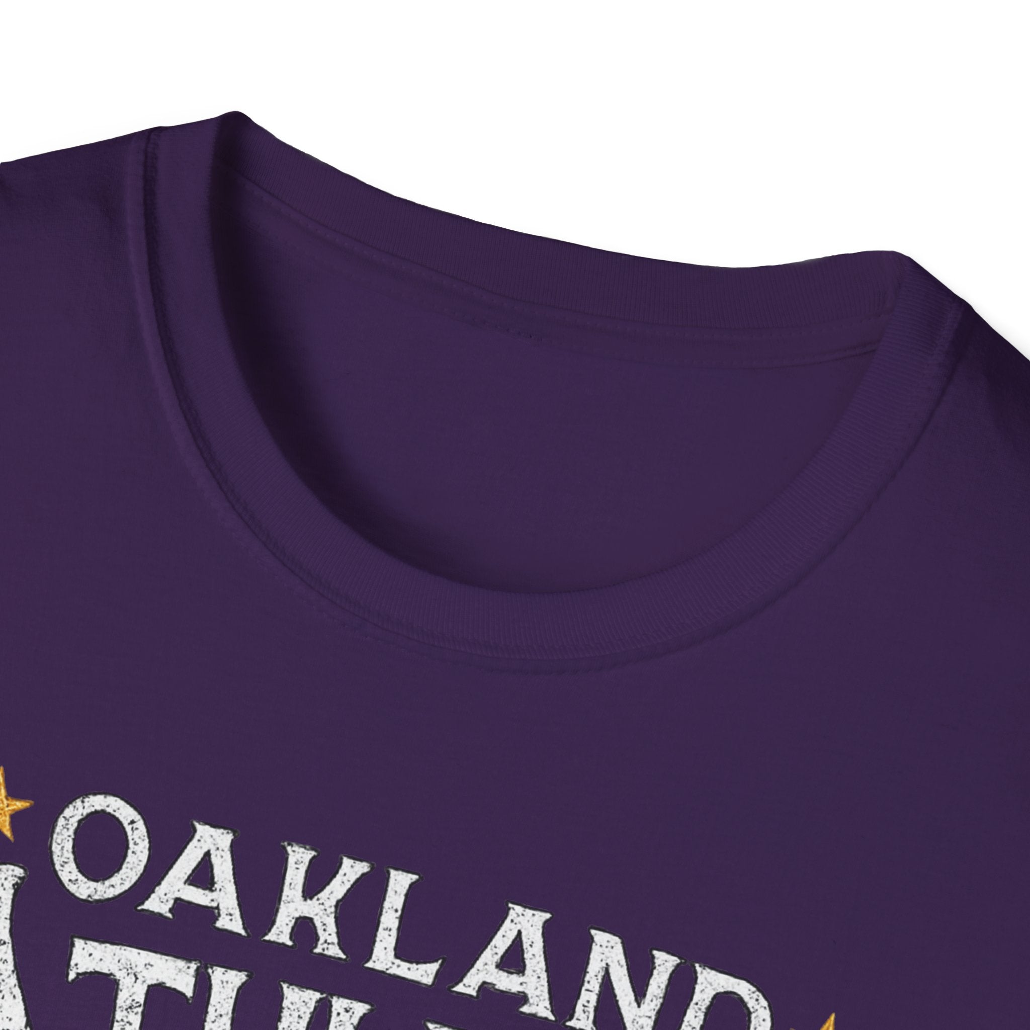 Noter dame fighting irish  - Oakland