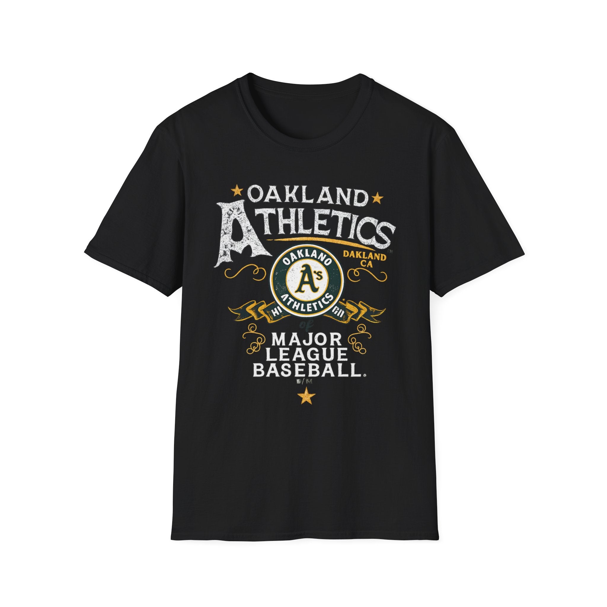 Noter dame fighting irish  - Oakland