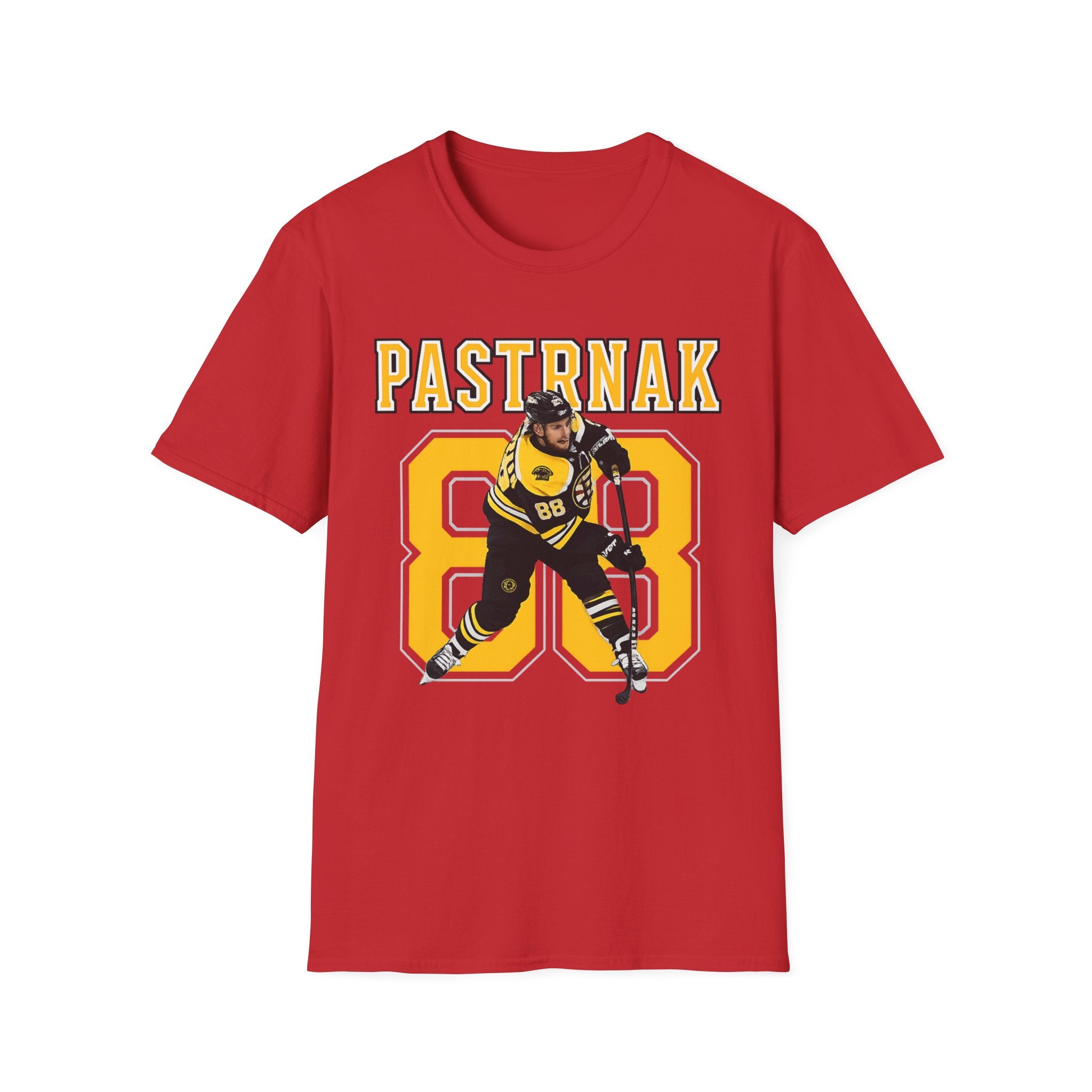 Boston bruins