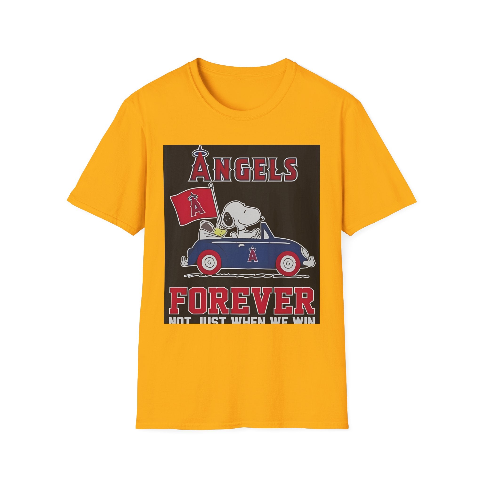 Oklahoma city thunder  - Angels