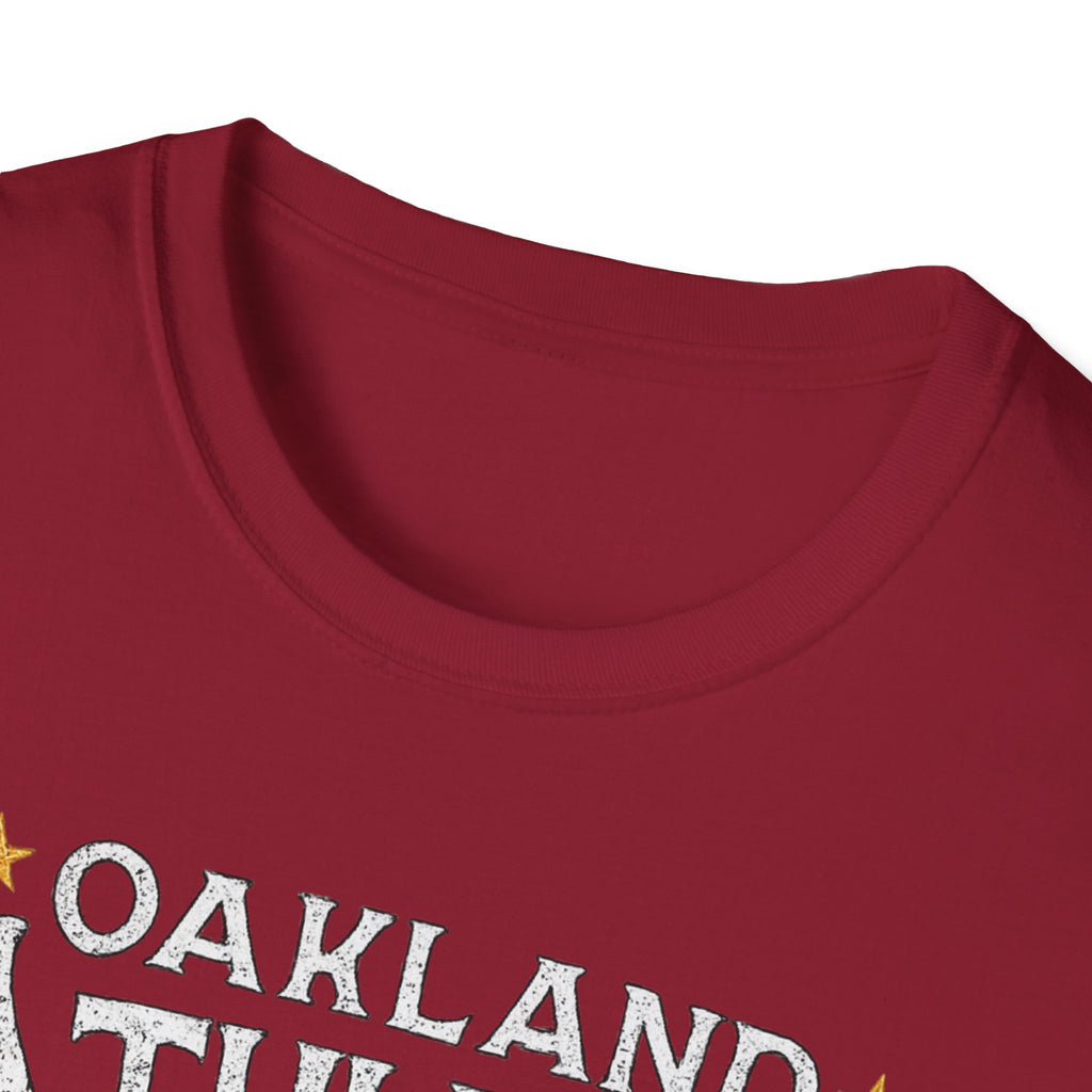 Noter dame fighting irish  - Oakland