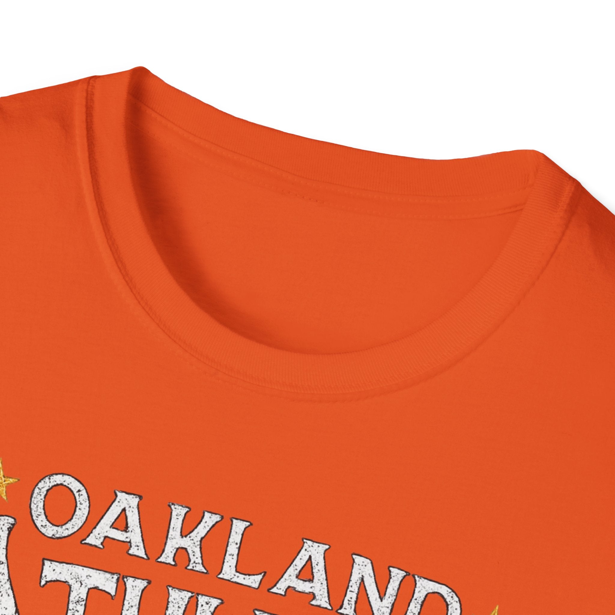 Noter dame fighting irish  - Oakland