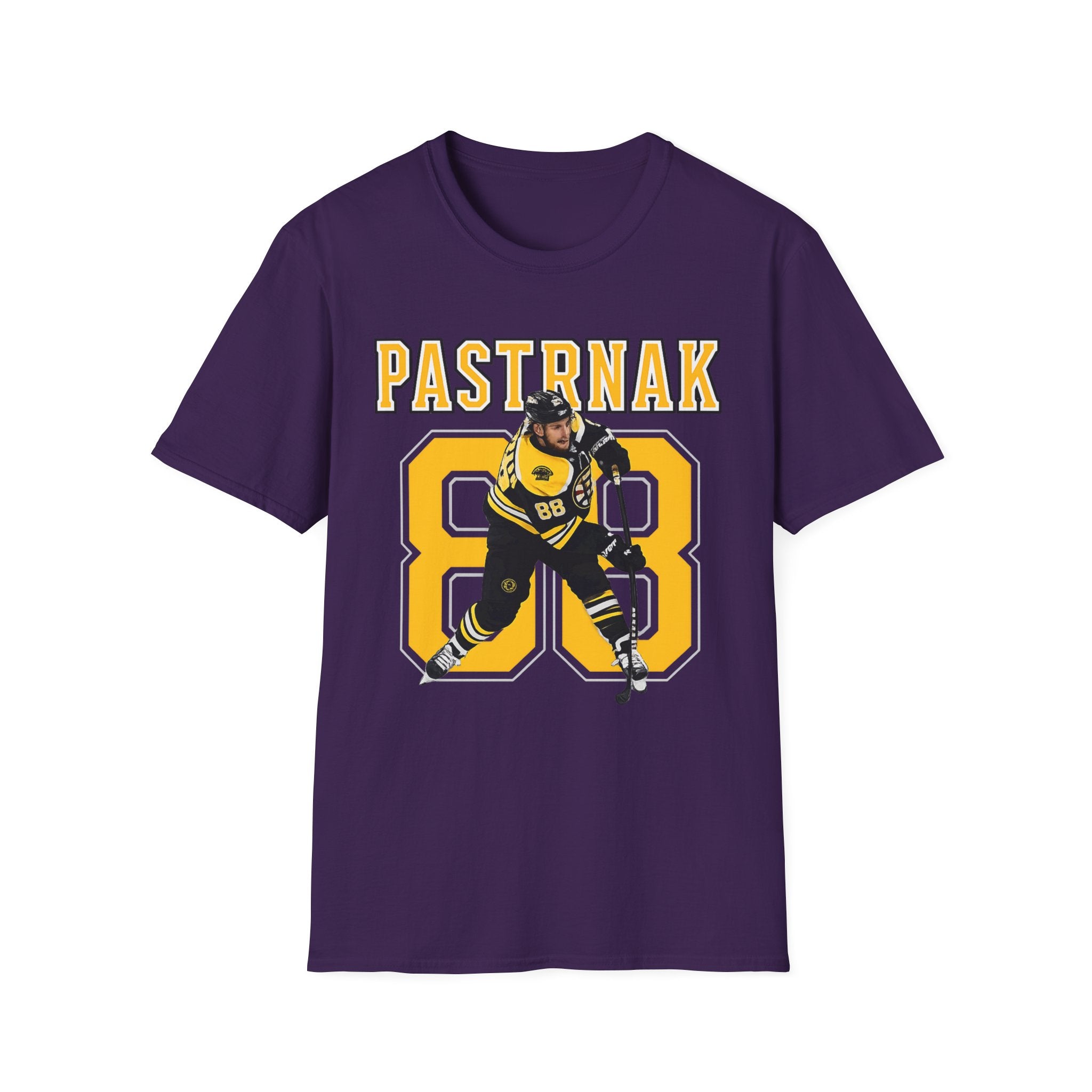 Boston bruins