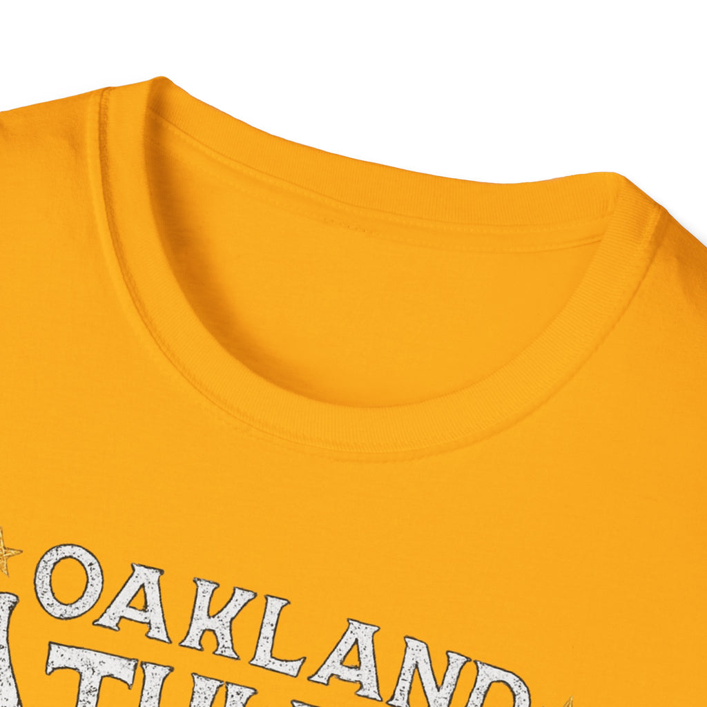 Noter dame fighting irish  - Oakland