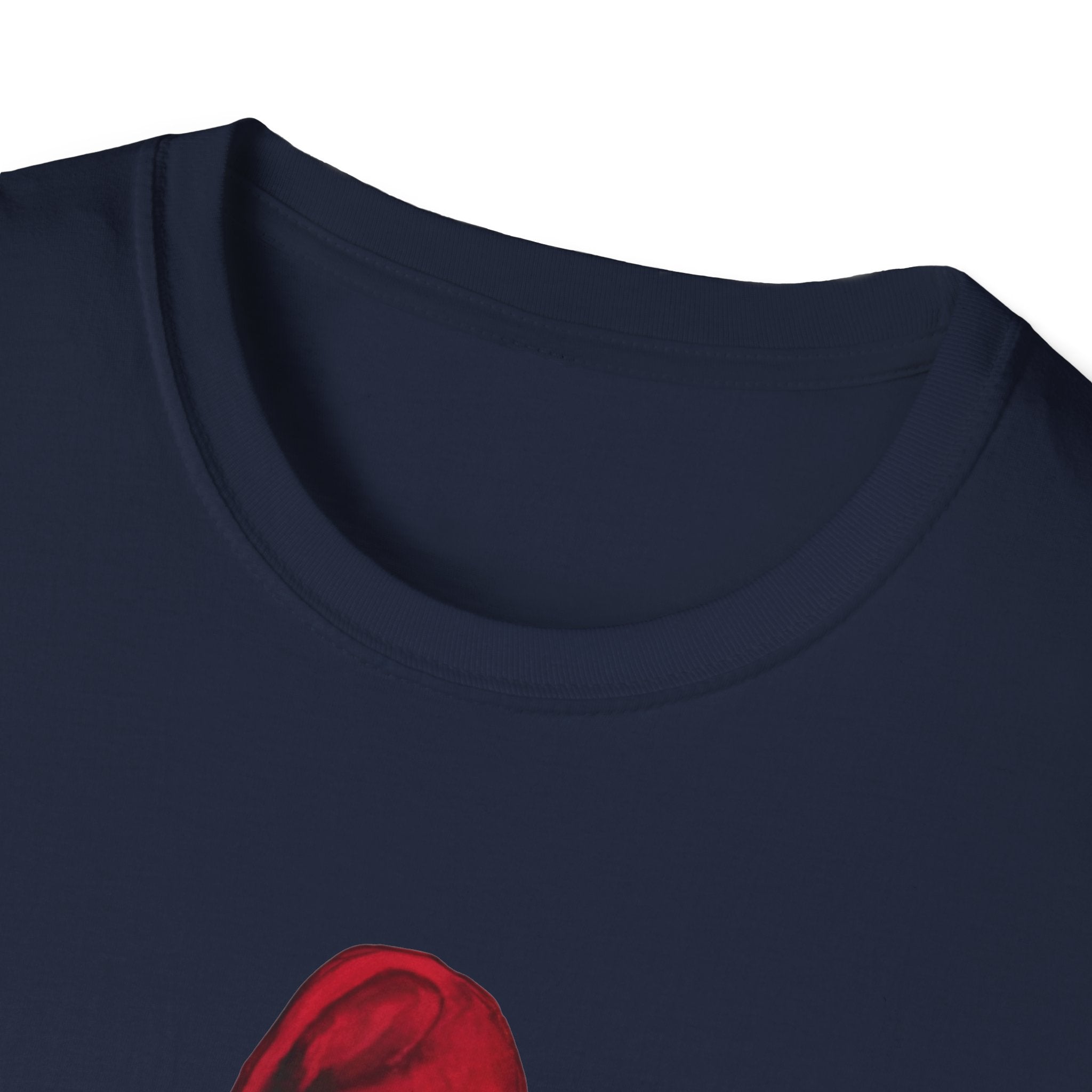 Noter dame fighting irish  - Phillies 2