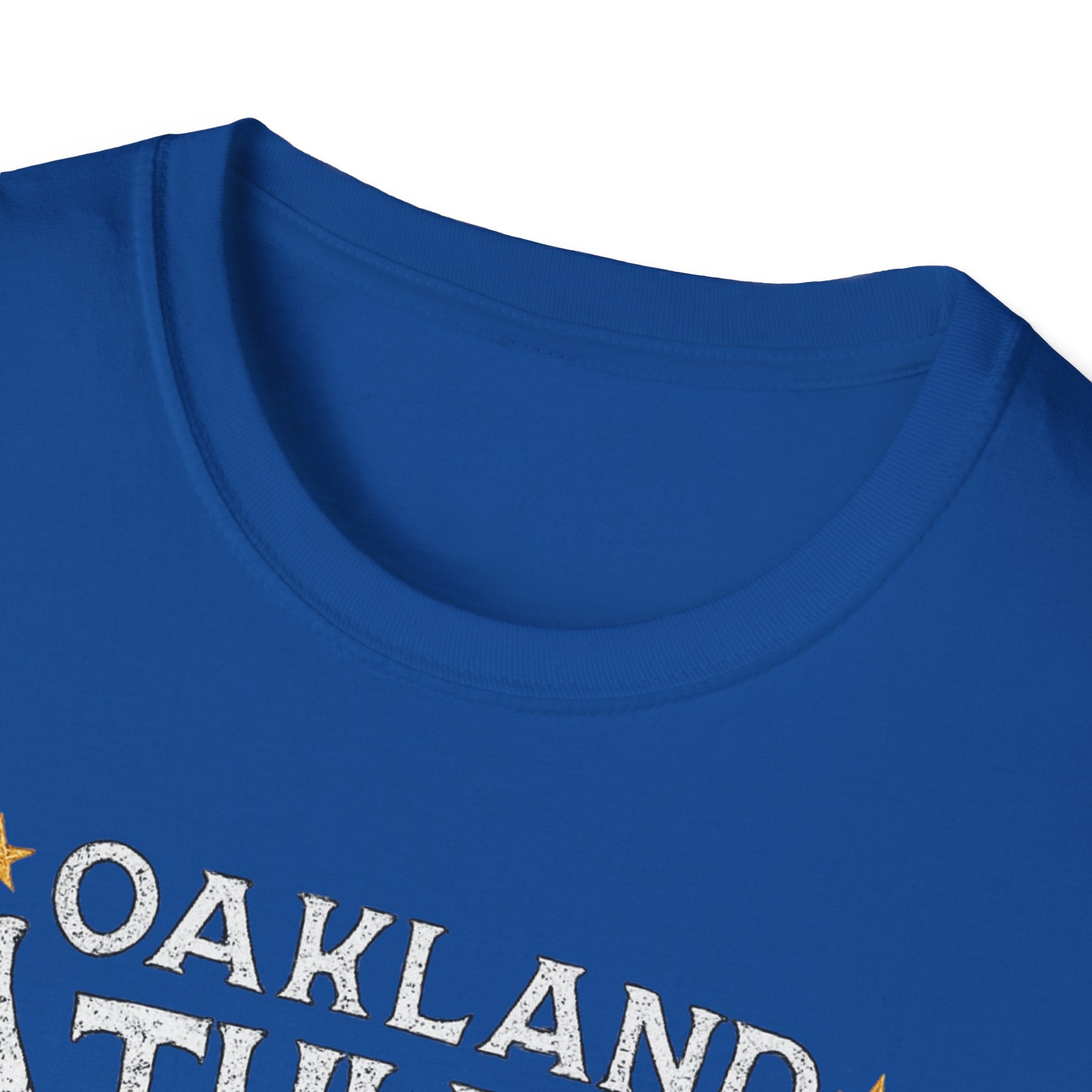 Noter dame fighting irish  - Oakland