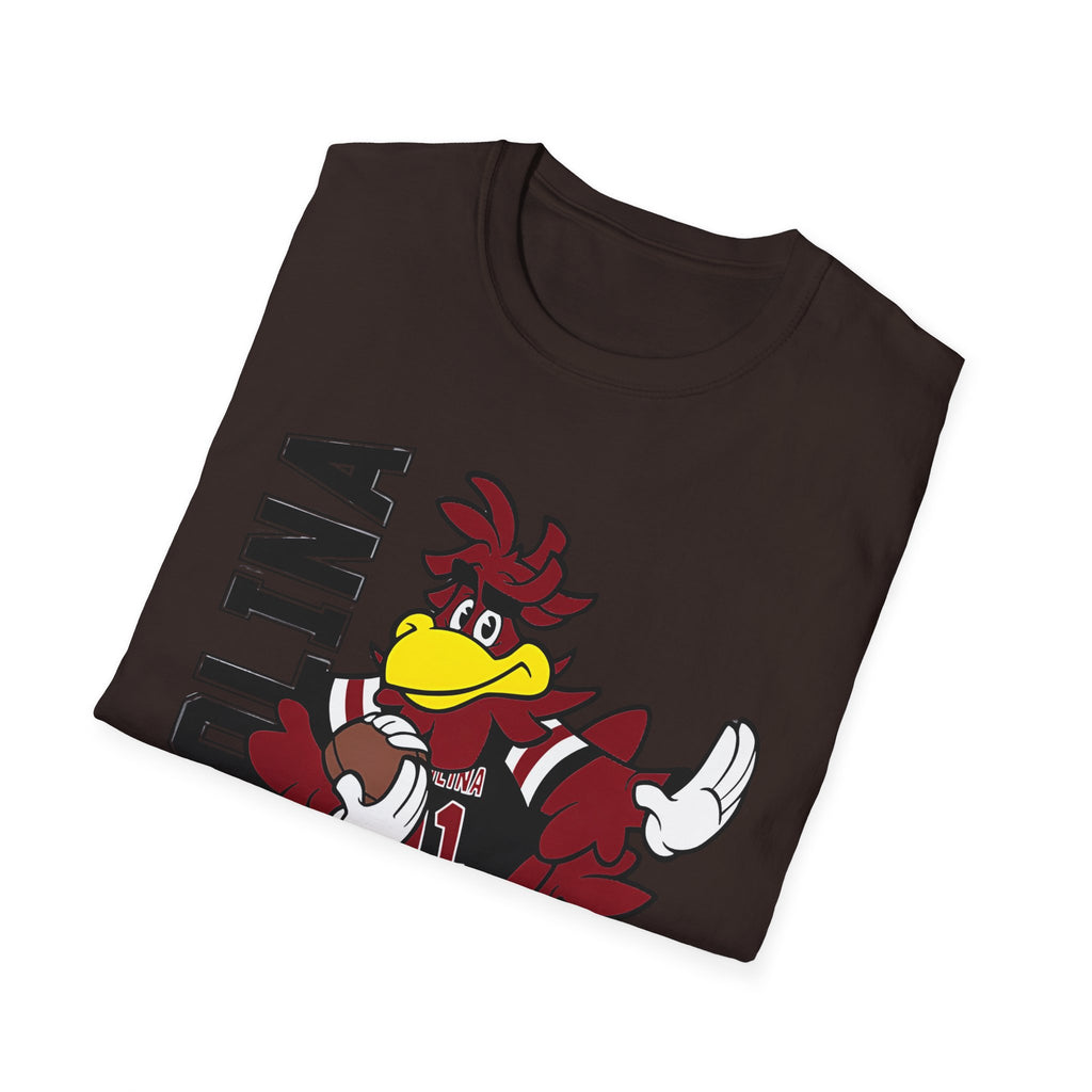 South Carolina Gamecocks