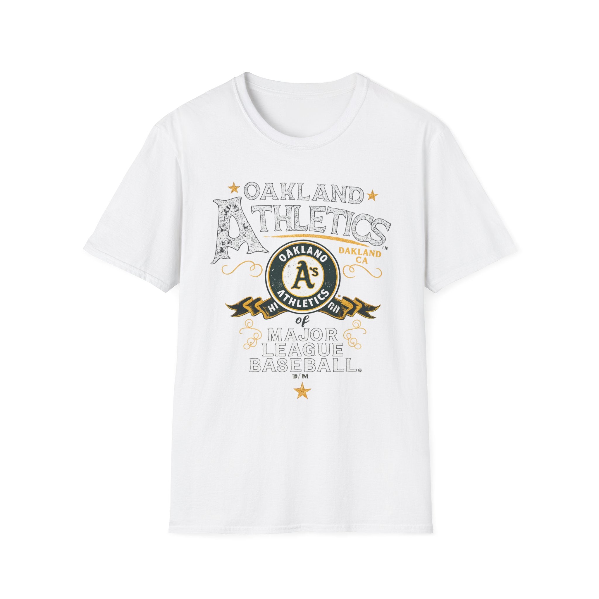 Noter dame fighting irish  - Oakland