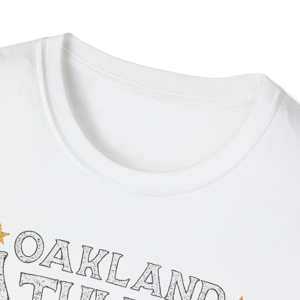 Noter dame fighting irish  - Oakland