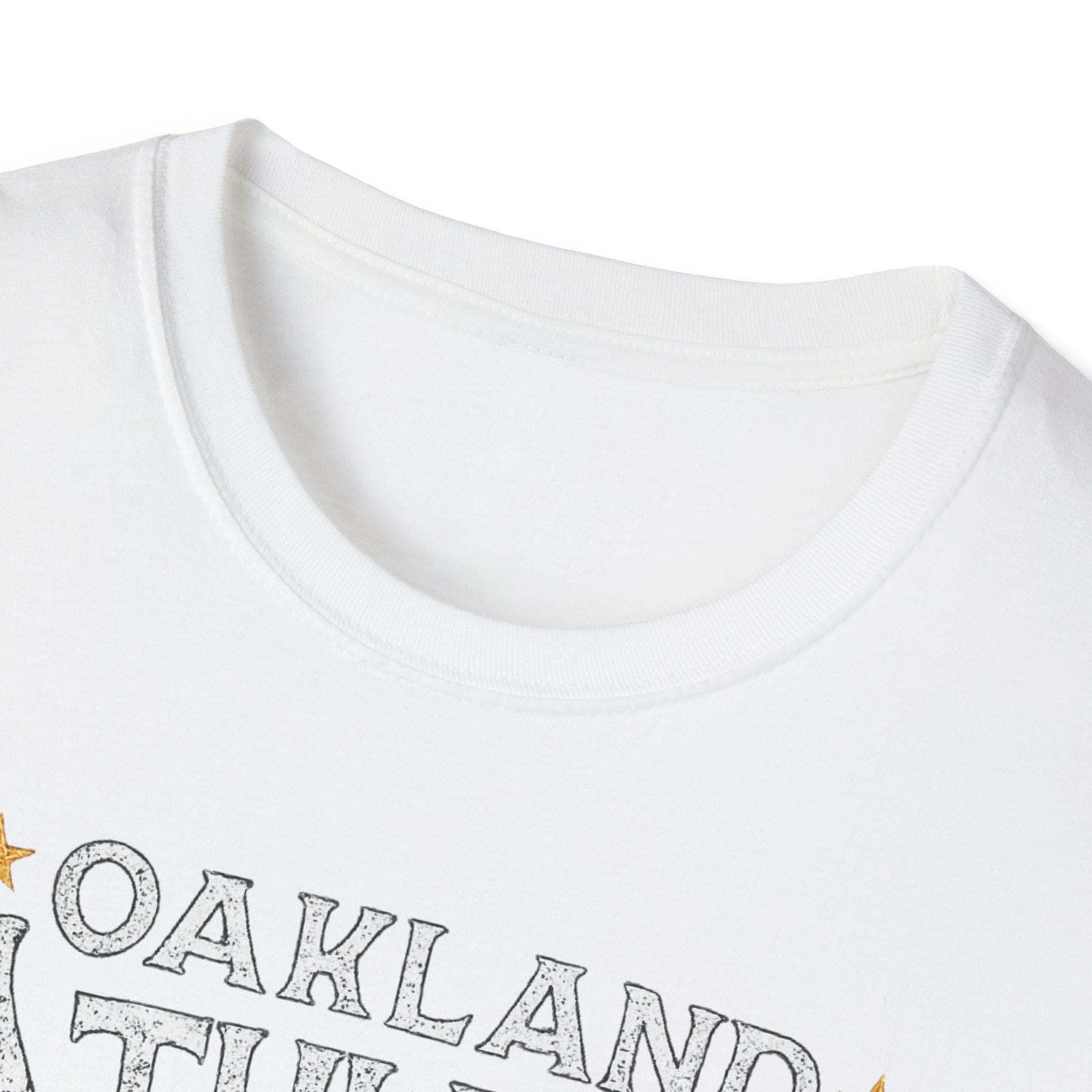 Noter dame fighting irish  - Oakland