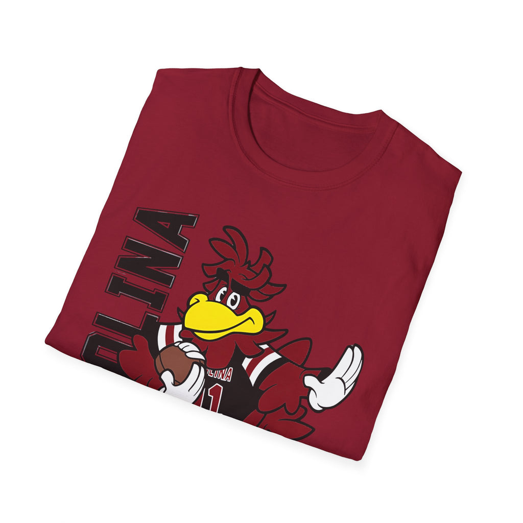 South Carolina Gamecocks