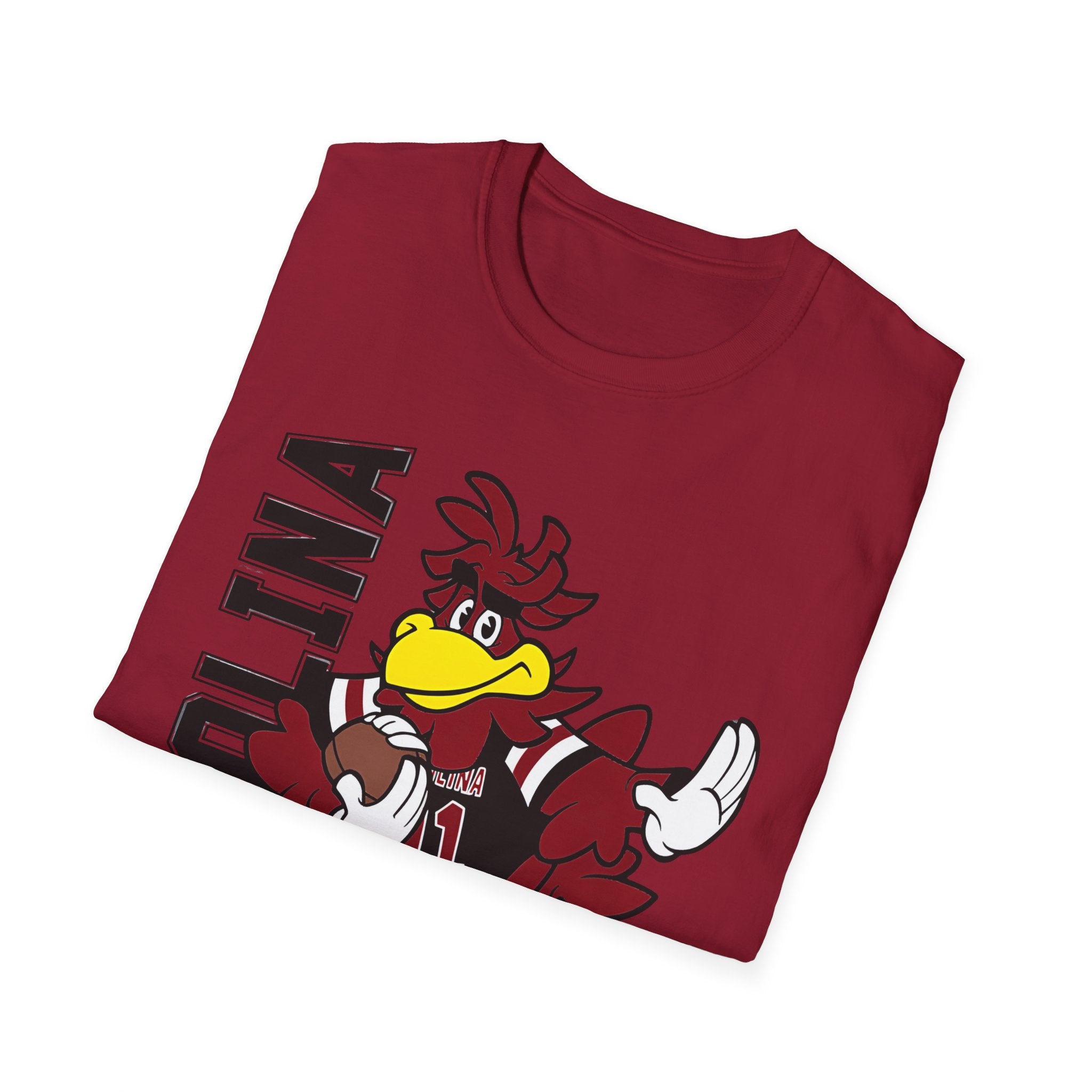 South Carolina Gamecocks