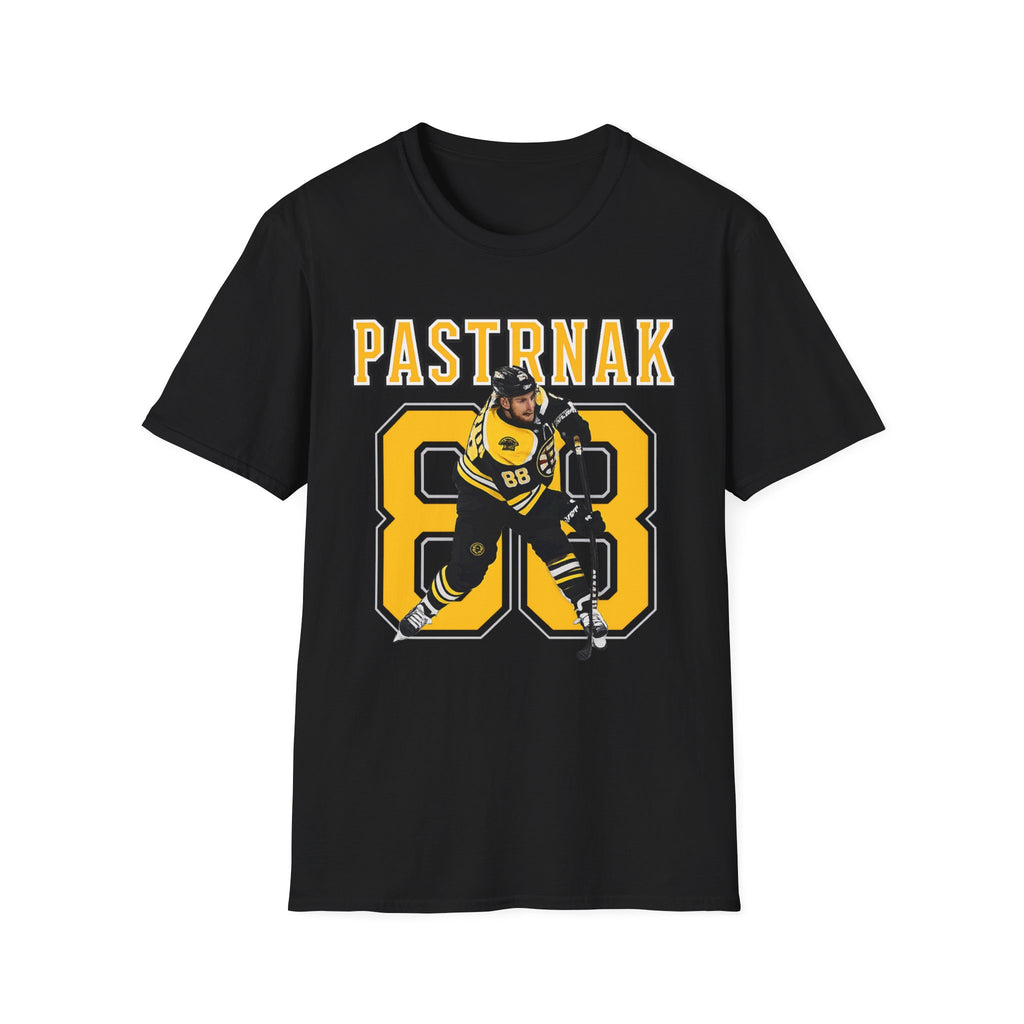 Boston bruins