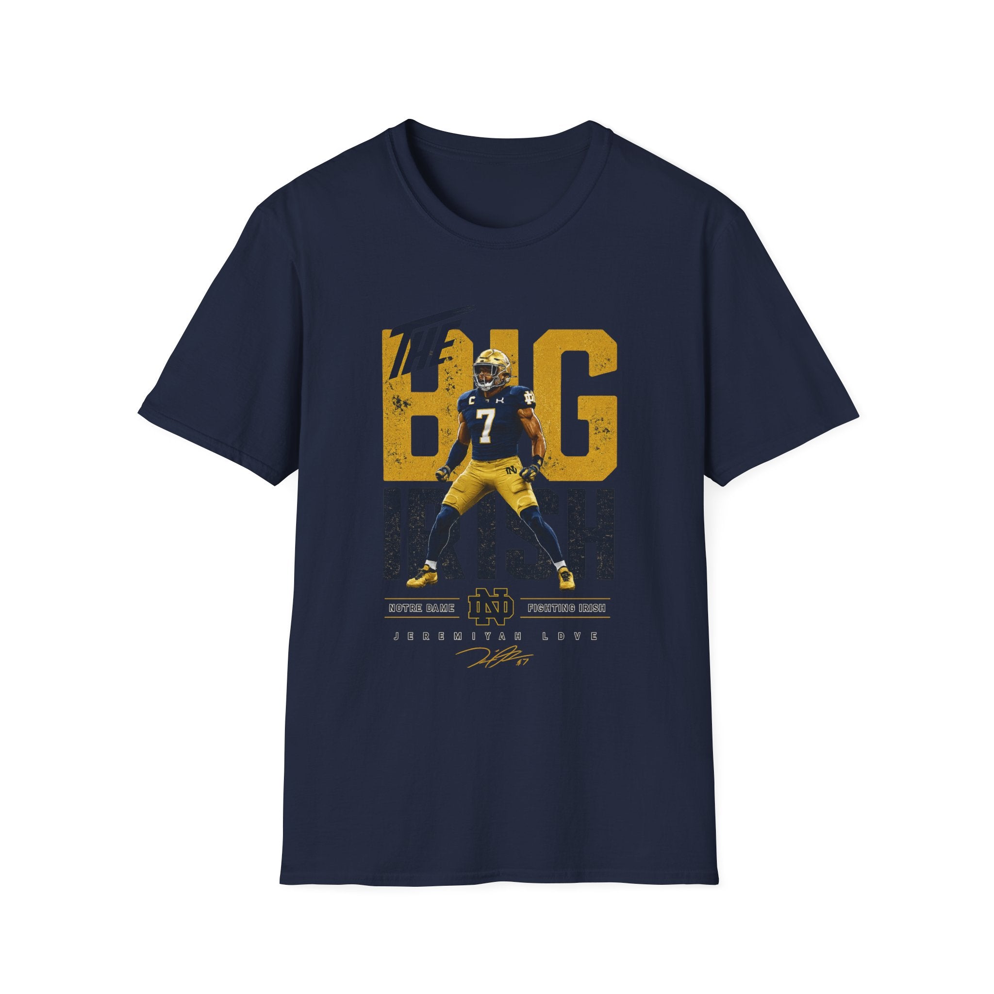 Noter dame fighting irish