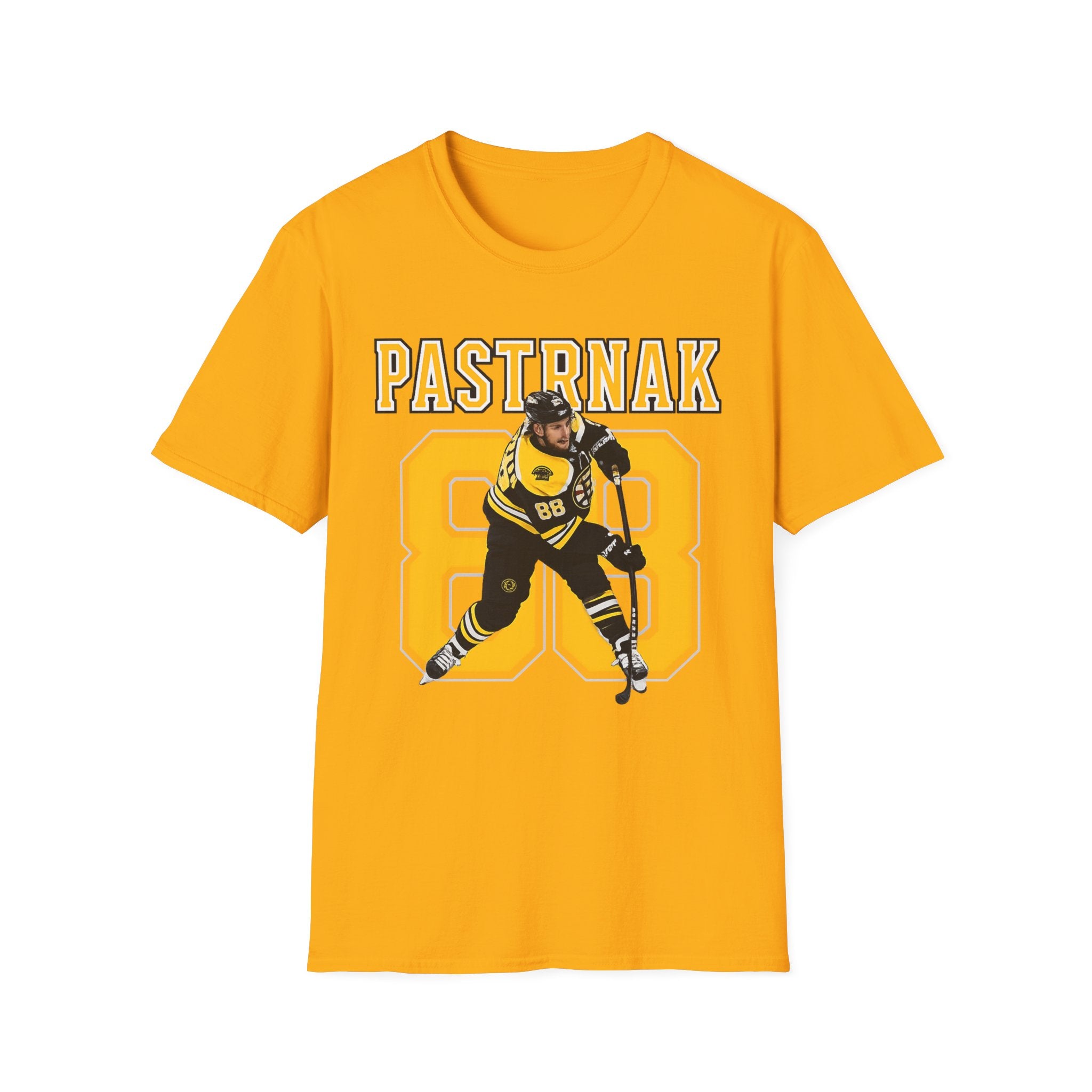 Boston bruins