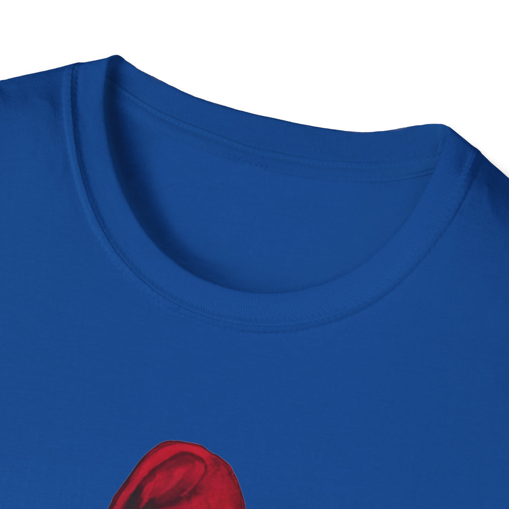 Noter dame fighting irish  - Phillies 2
