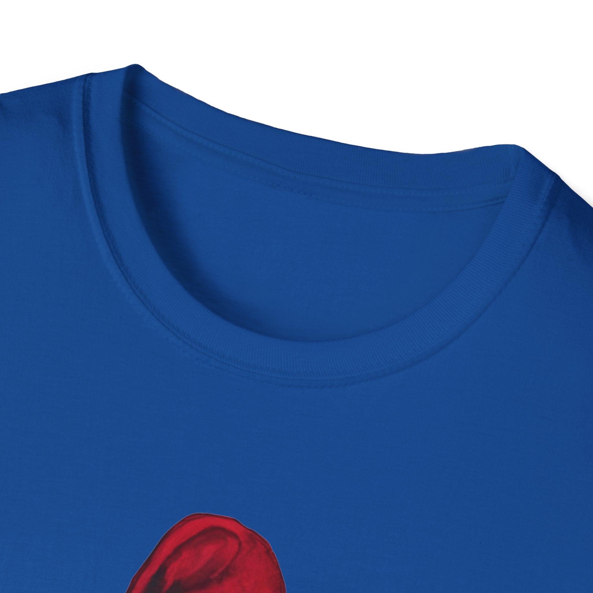 Noter dame fighting irish  - Phillies 2