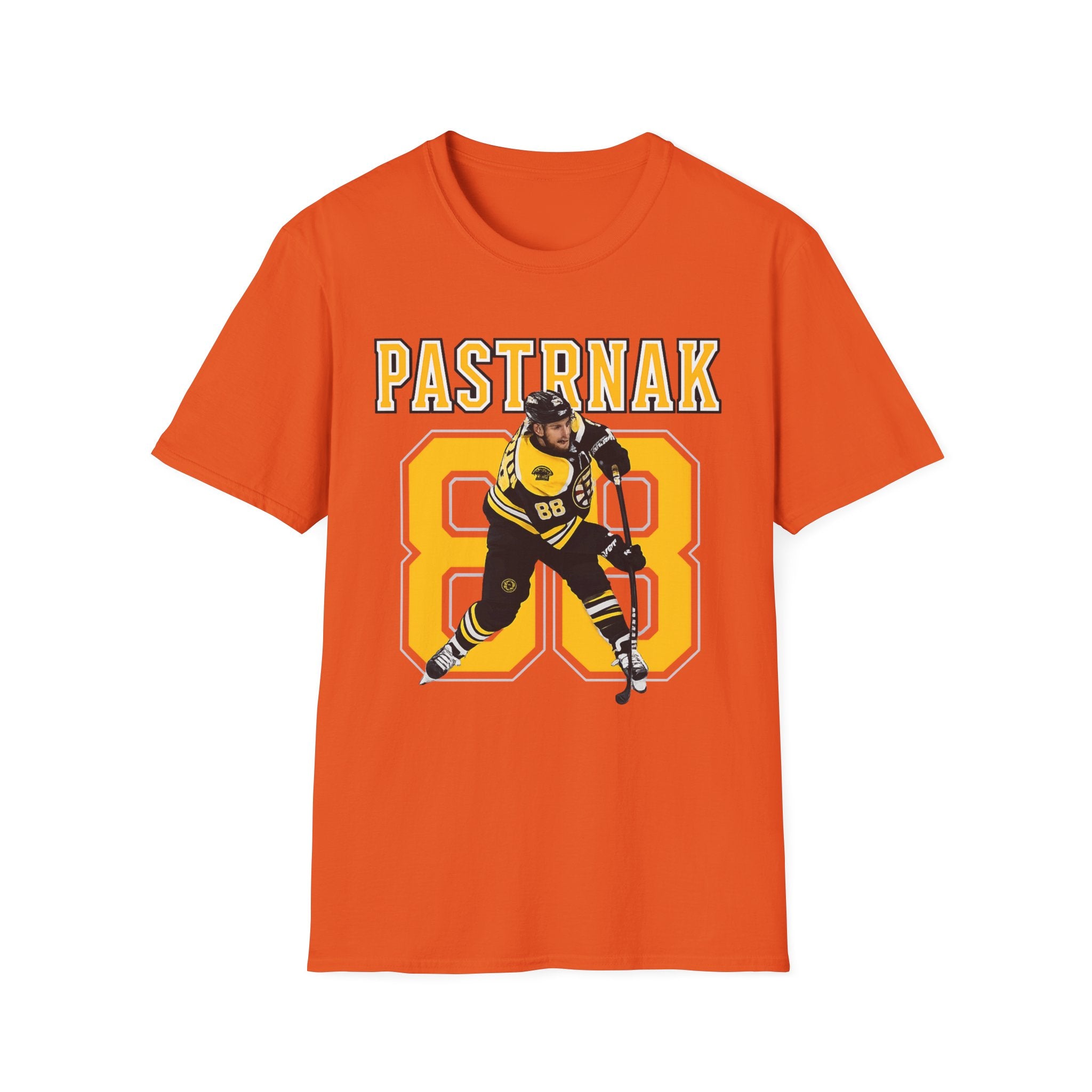 Boston bruins