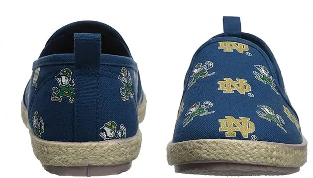 Noter dame fighting irish canvas