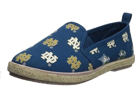 Noter dame fighting irish canvas