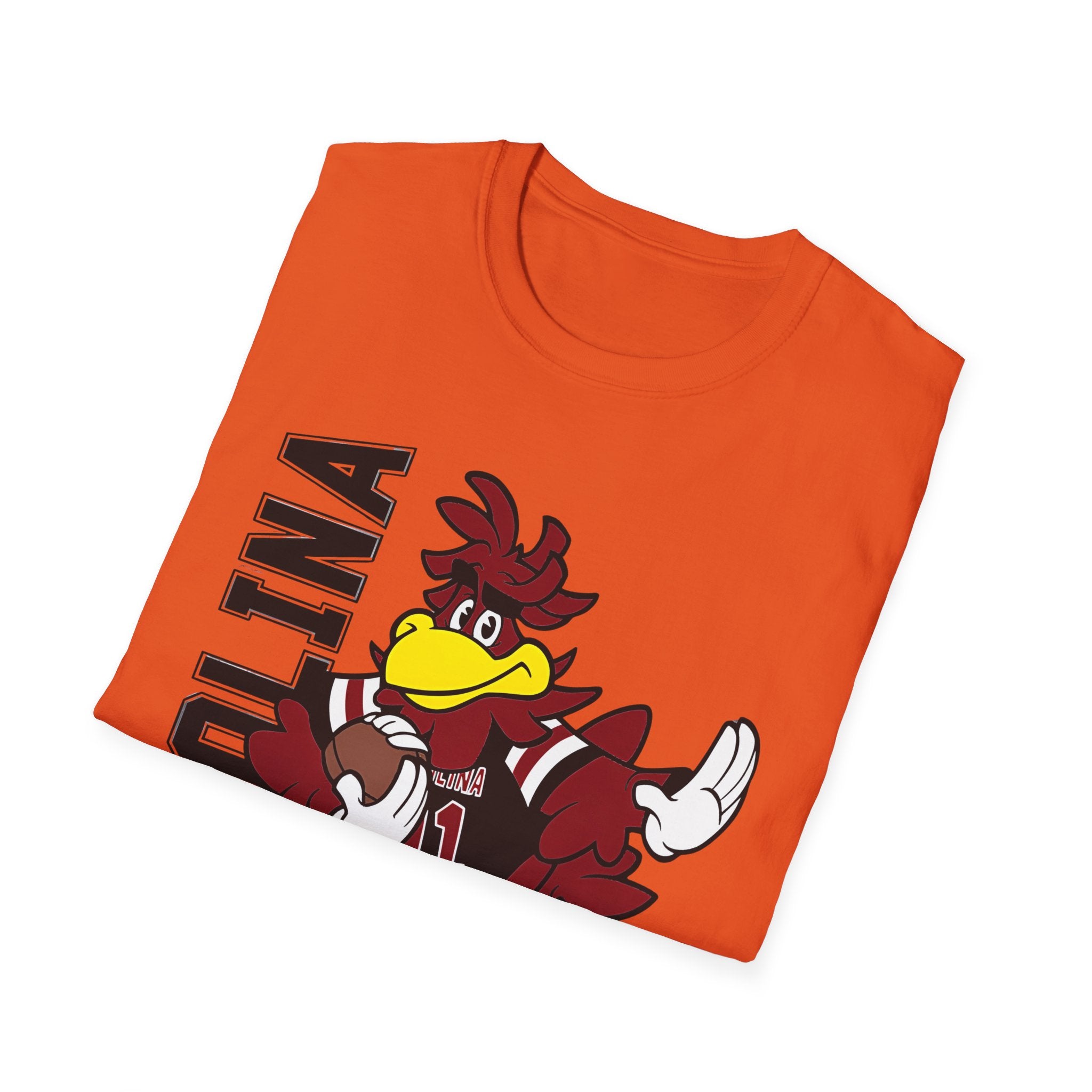 South Carolina Gamecocks