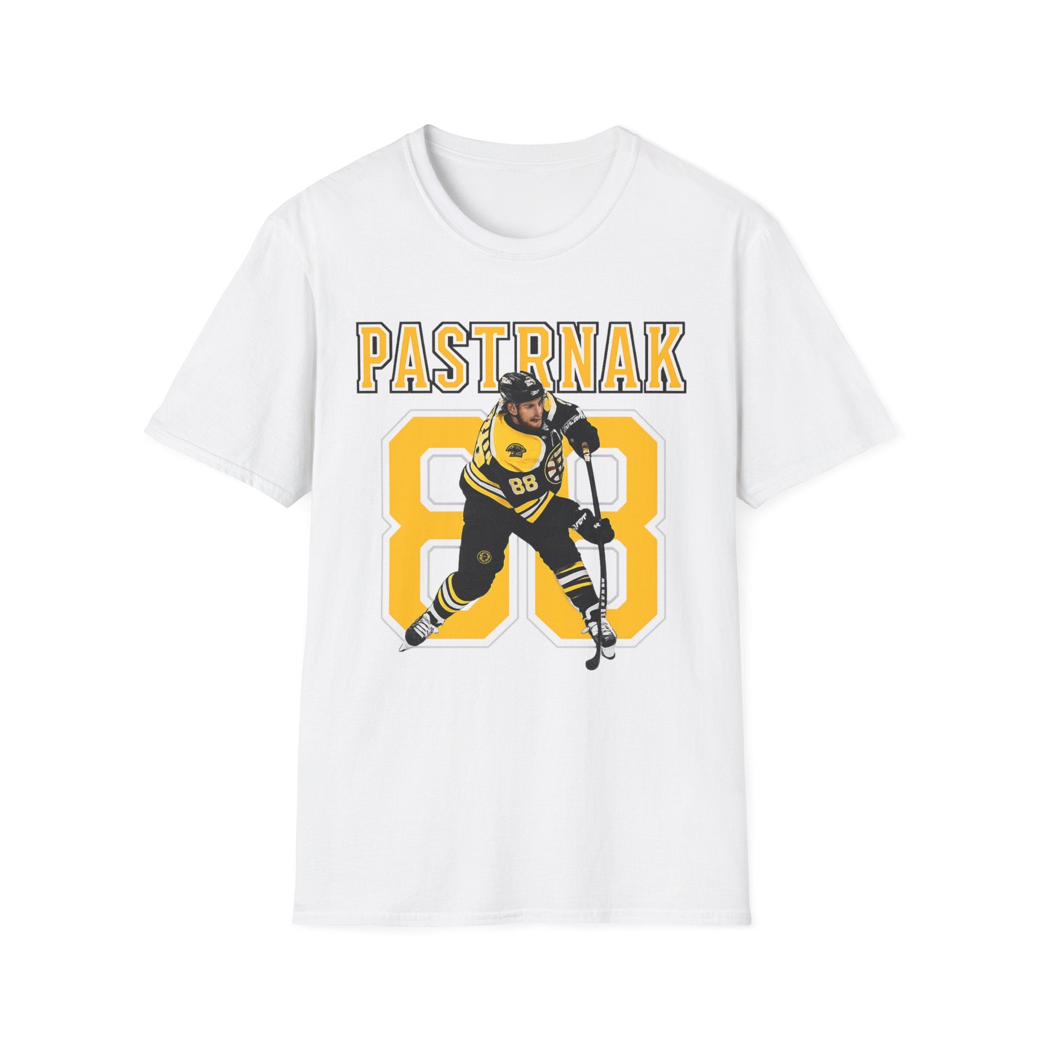 Boston bruins