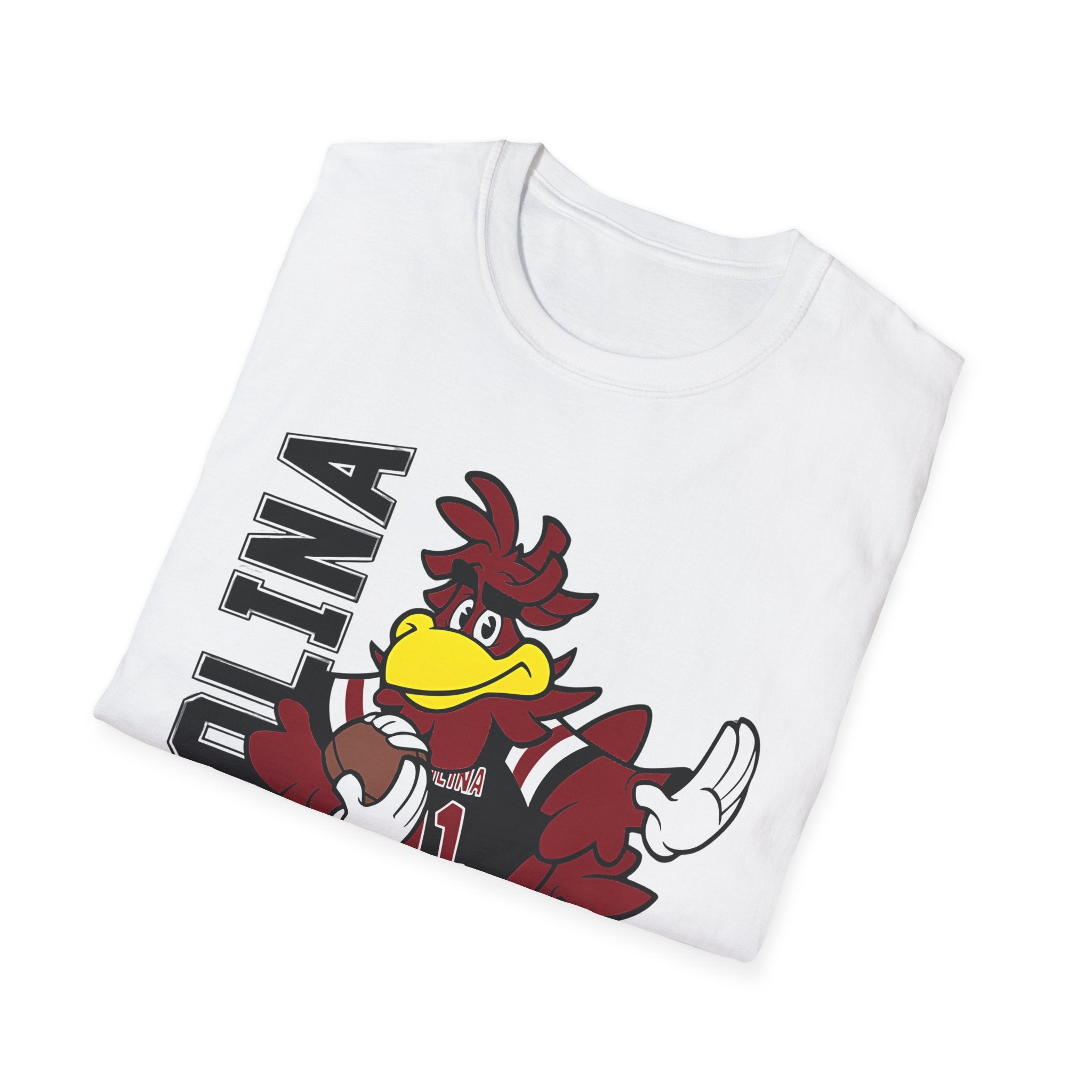 South Carolina Gamecocks