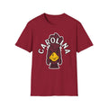 Carolina gamecocks
