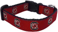 Collegiate dog collar South Carolina Gamecocks