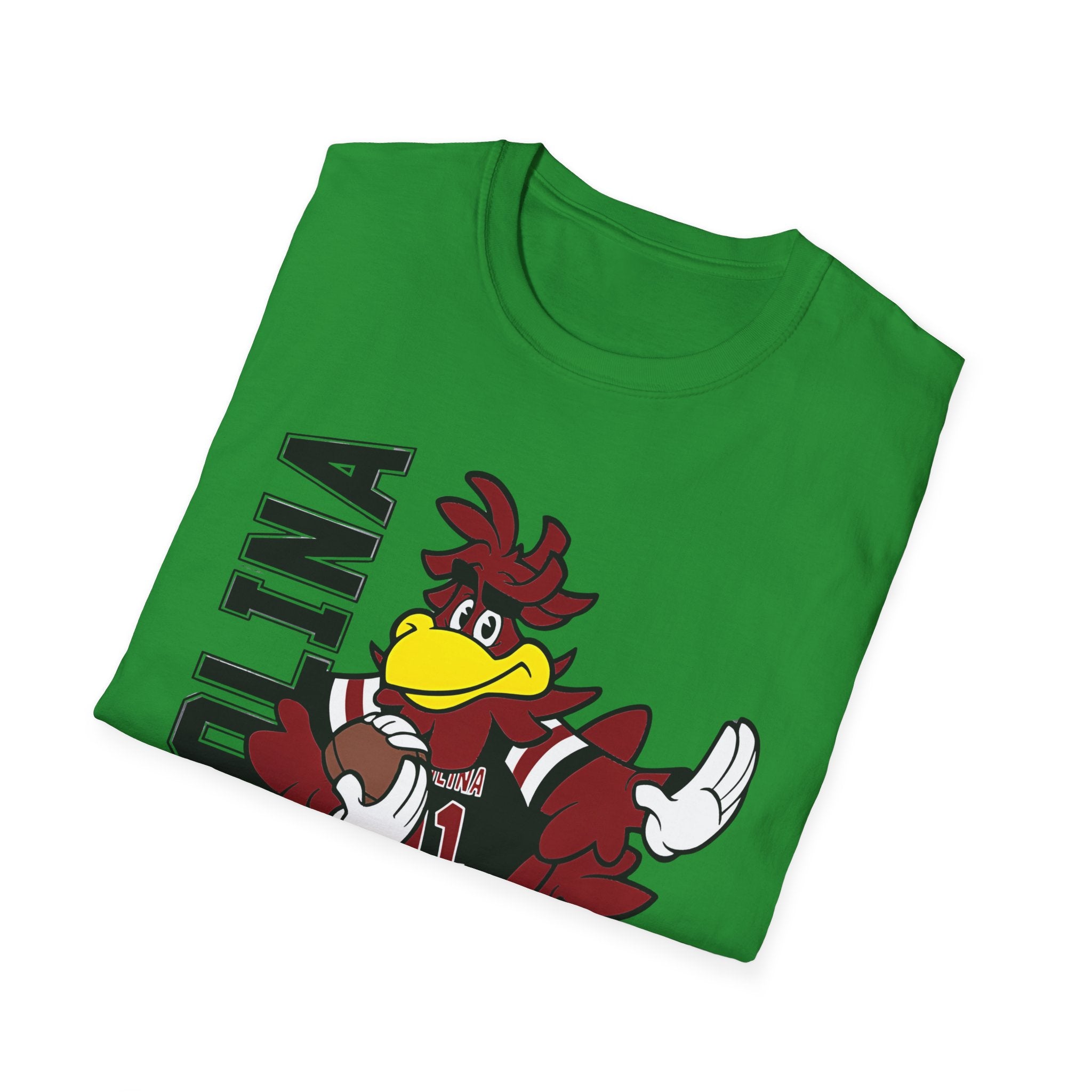 South Carolina Gamecocks