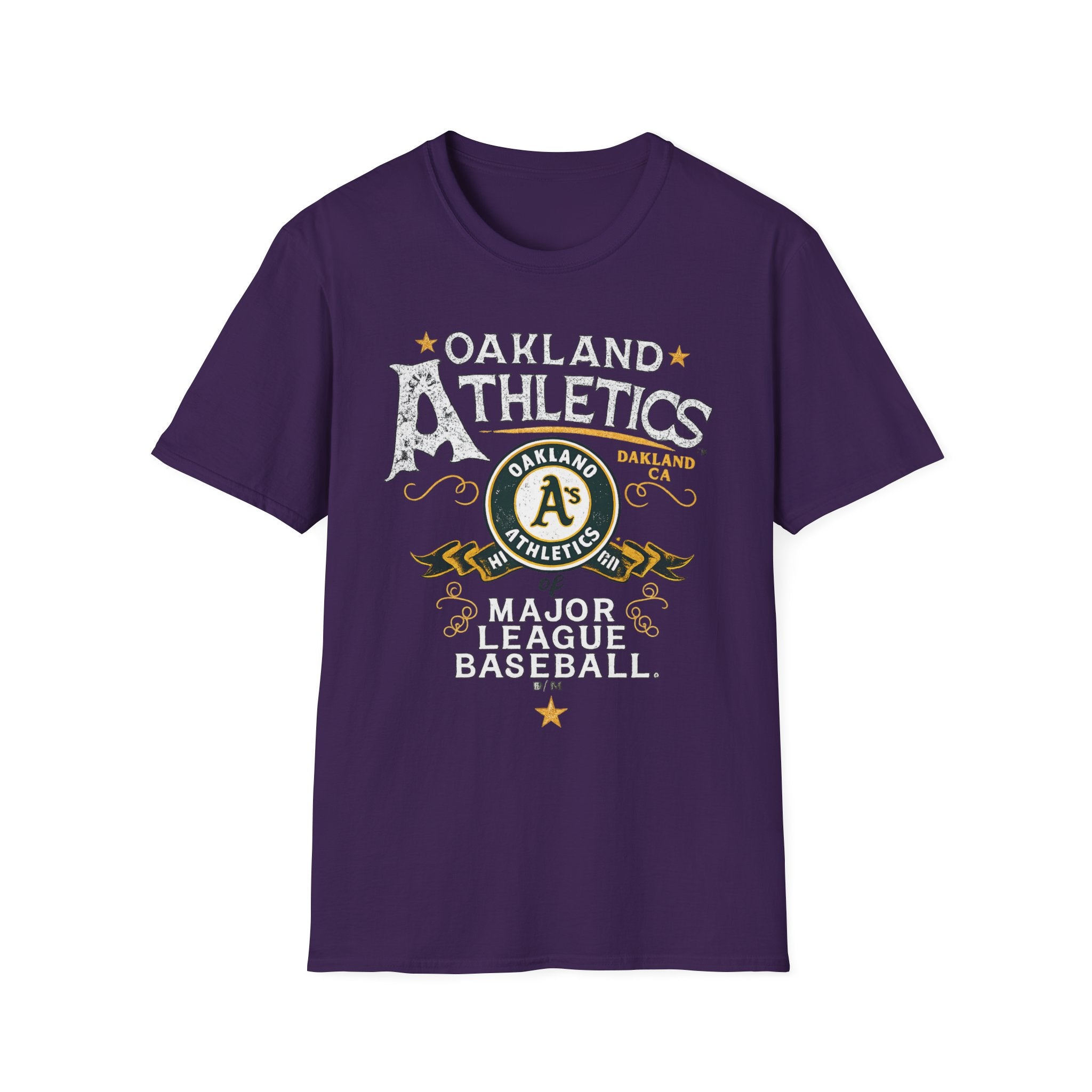 Noter dame fighting irish  - Oakland
