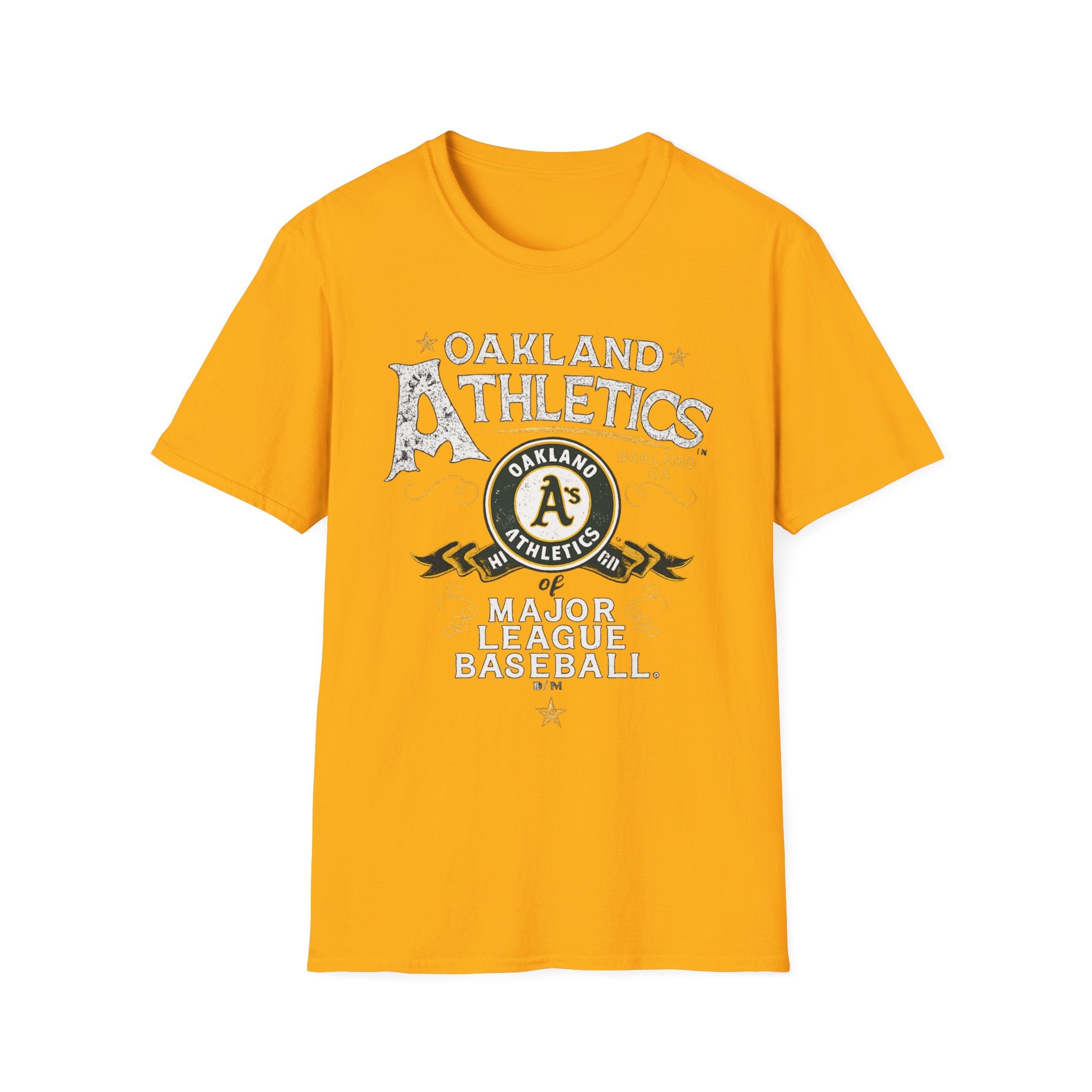 Noter dame fighting irish  - Oakland