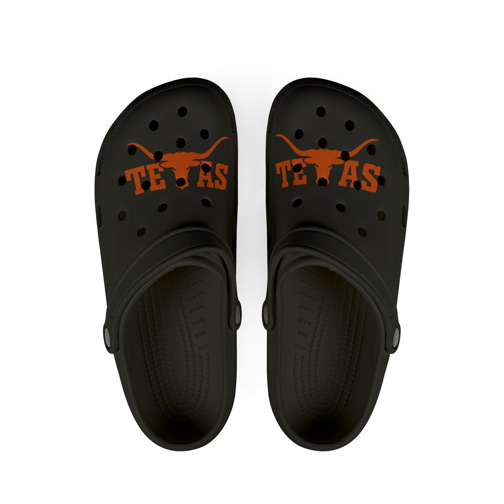 Taxsas longhorns