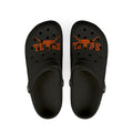 Taxsas longhorns