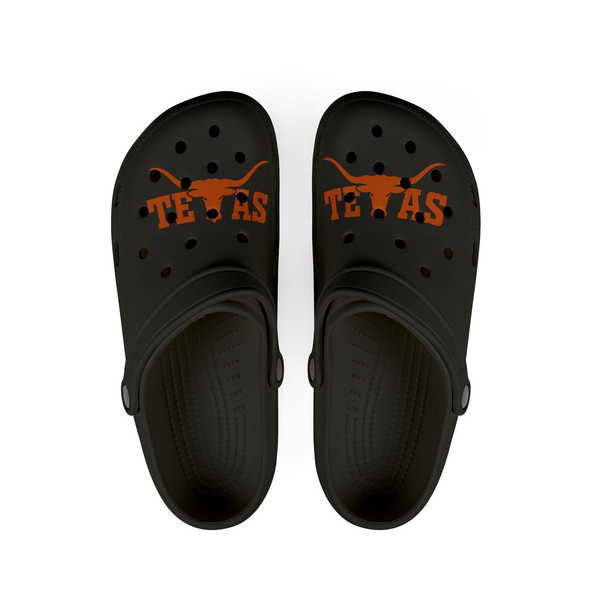 Taxsas longhorns