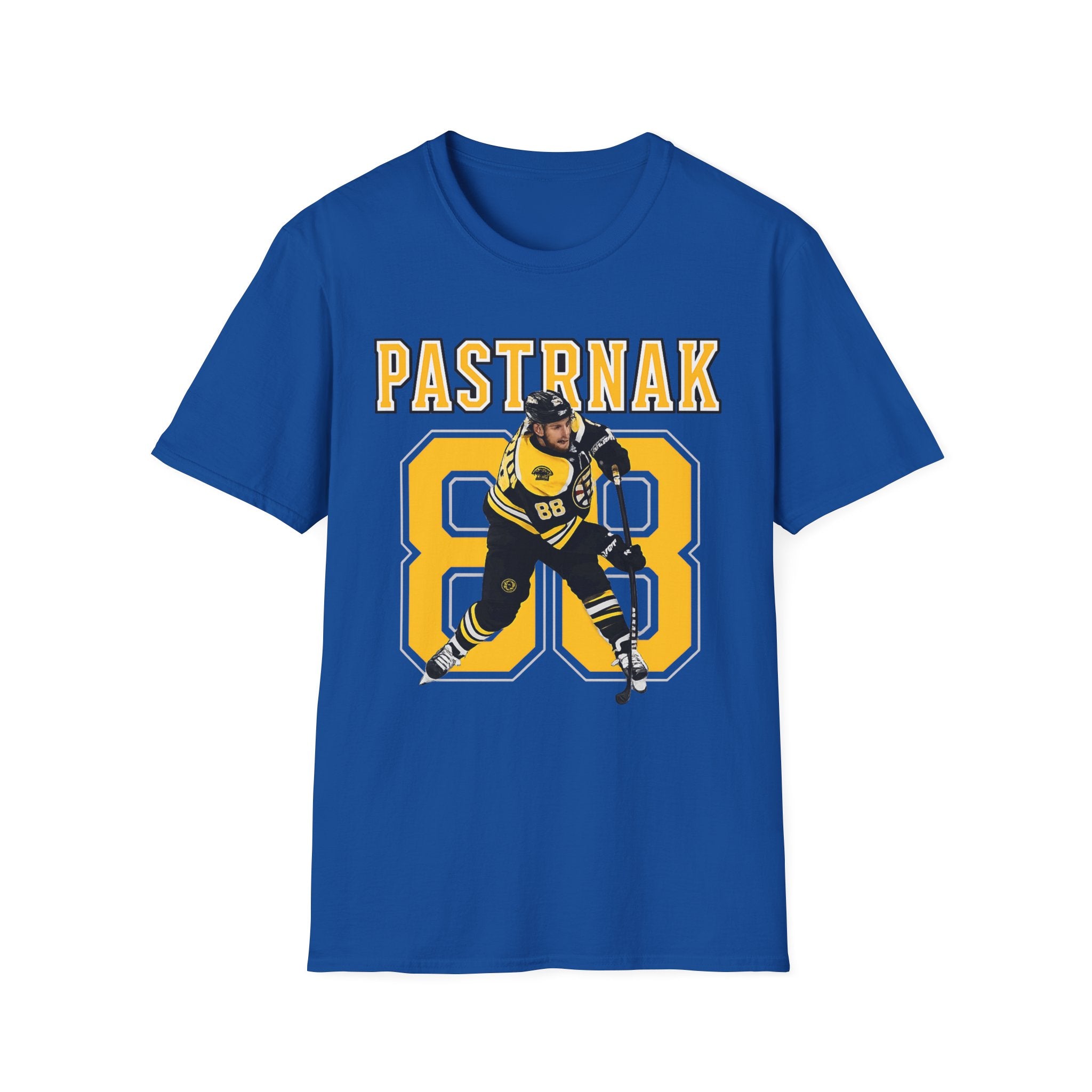 Boston bruins