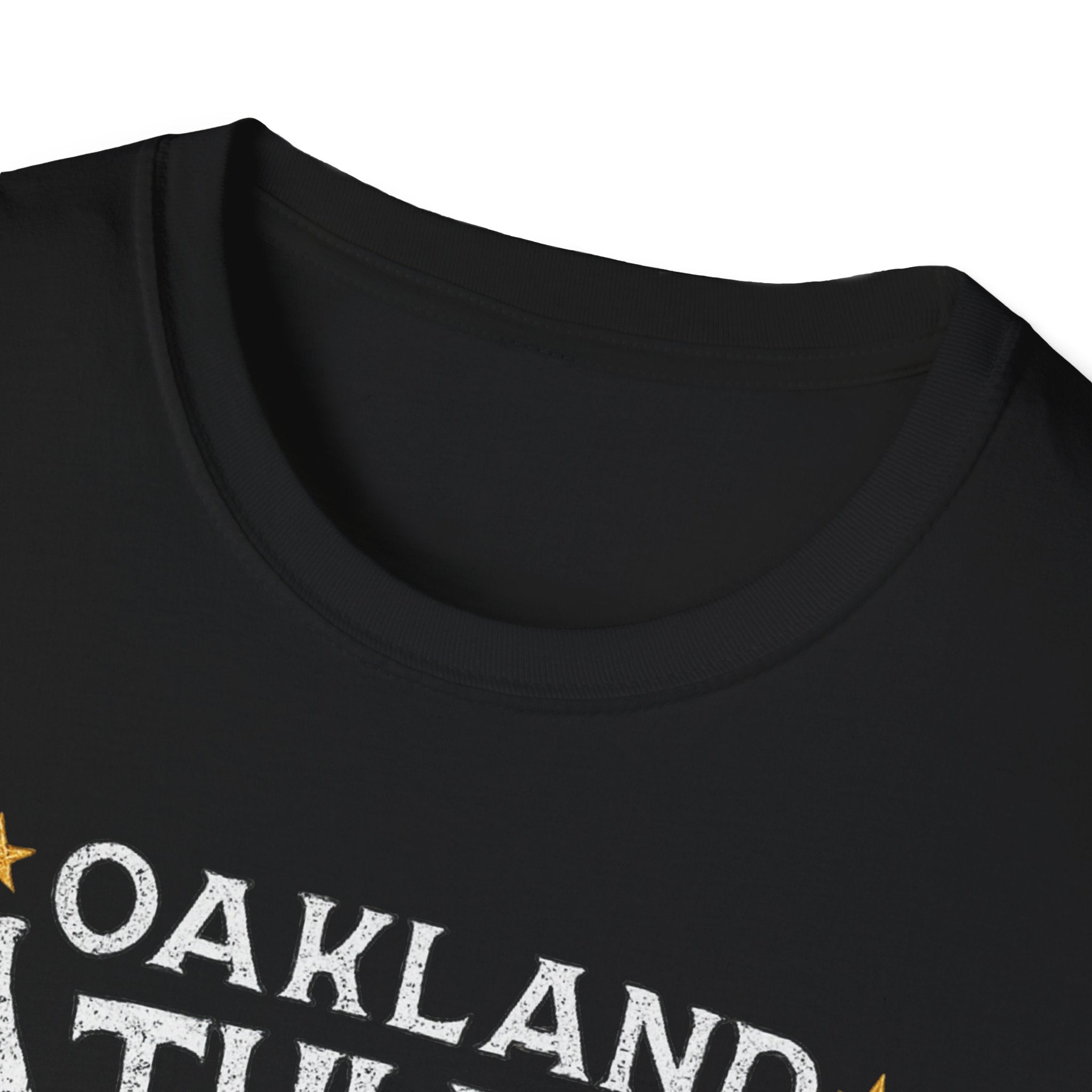 Noter dame fighting irish  - Oakland