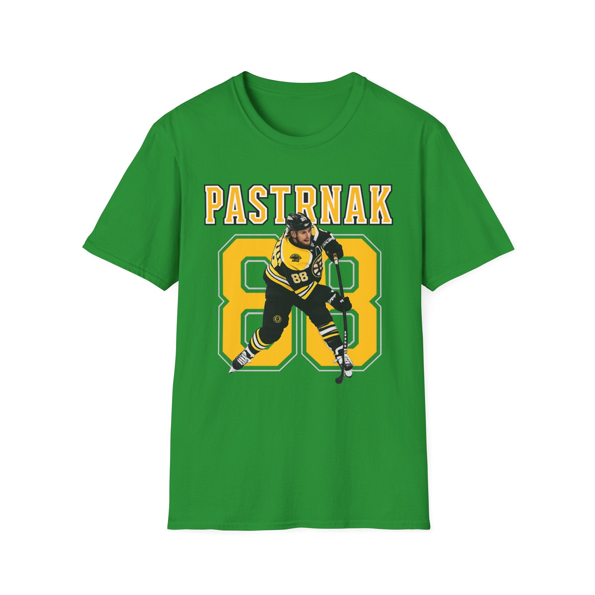 Boston bruins