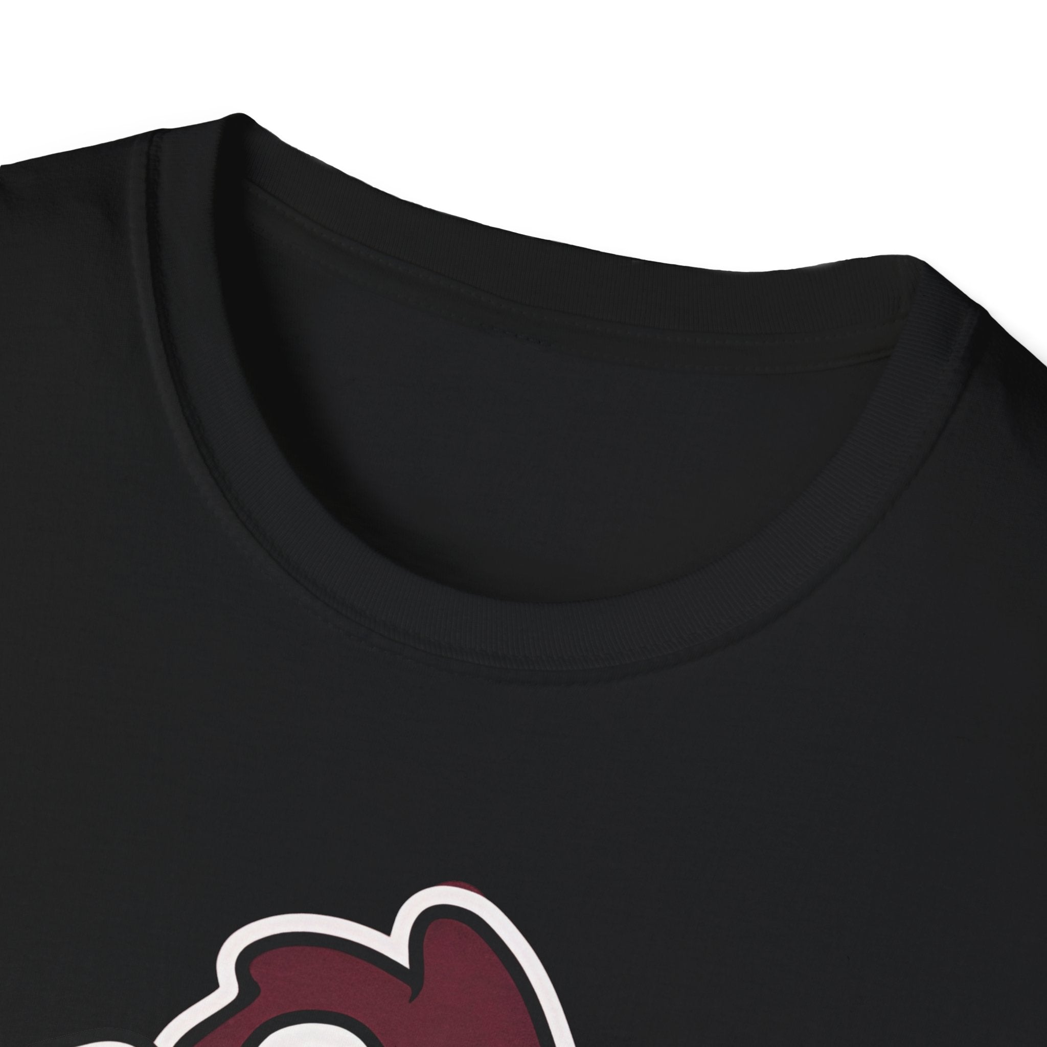 Carolina gamecocks