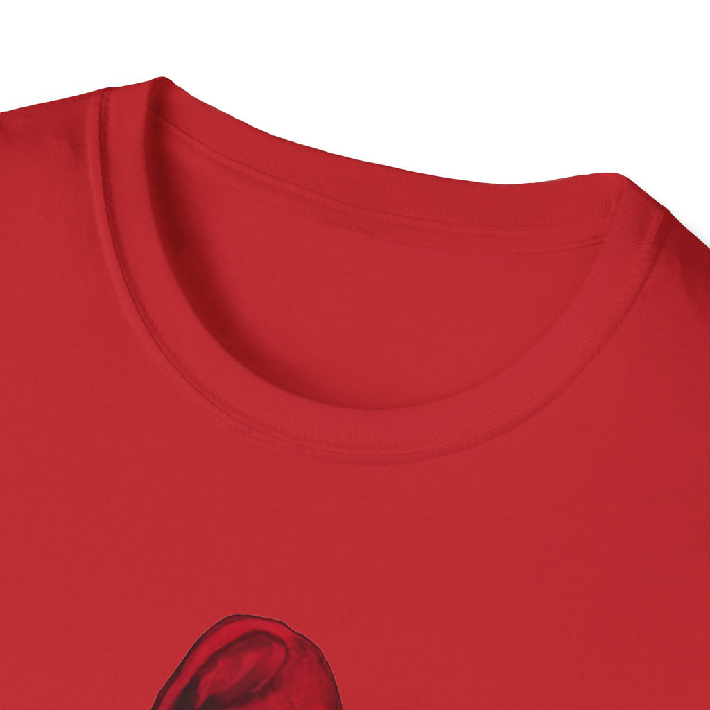 Noter dame fighting irish  - Phillies 2