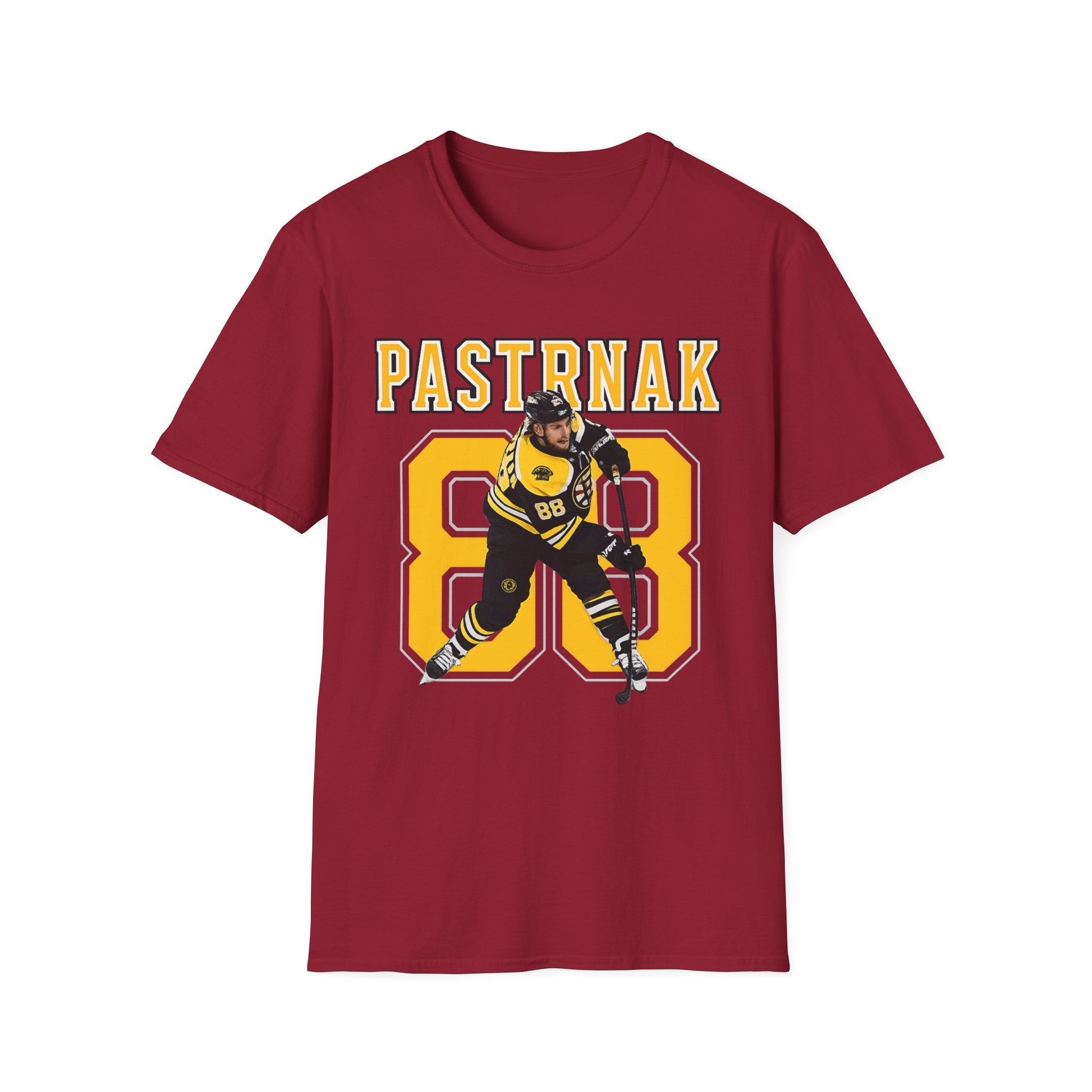 Boston bruins
