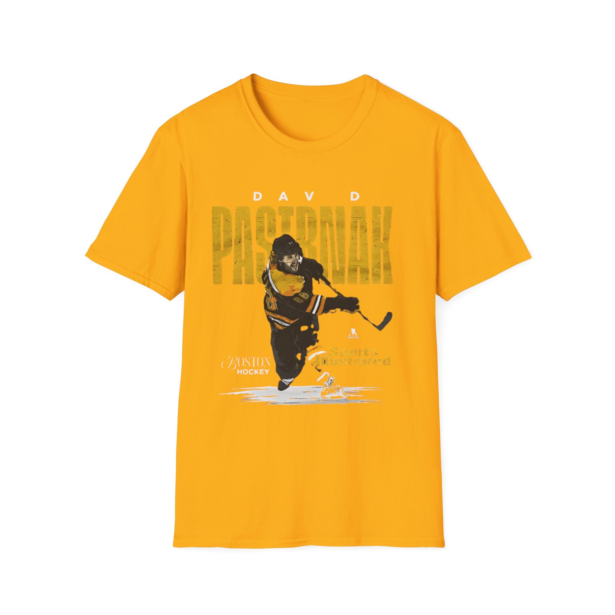 Boston bruins
