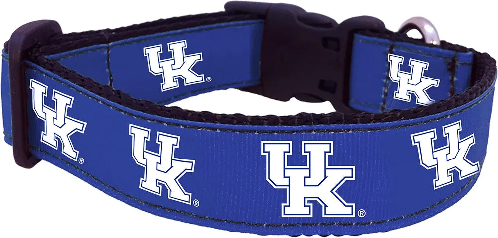 Dog collar Kentucky Wildcats