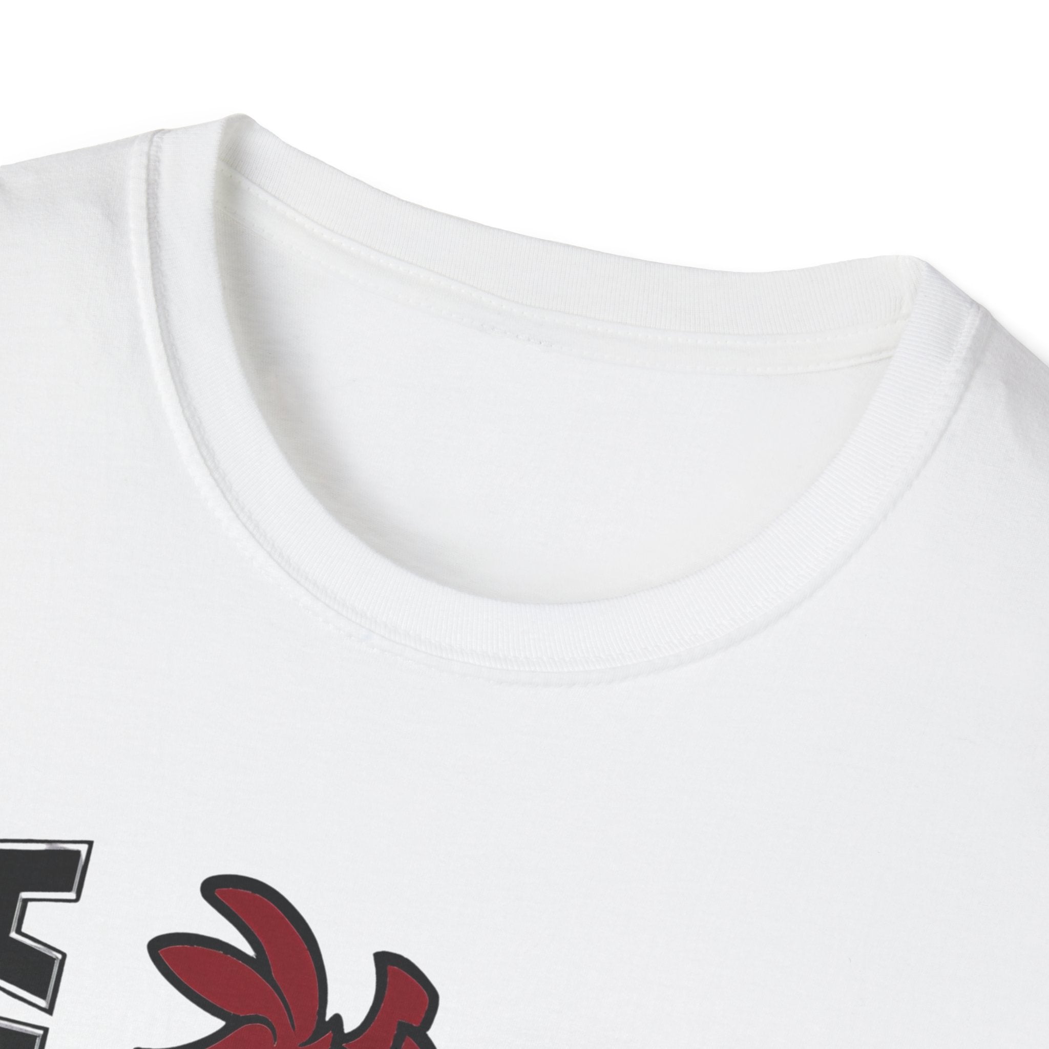 South Carolina Gamecocks